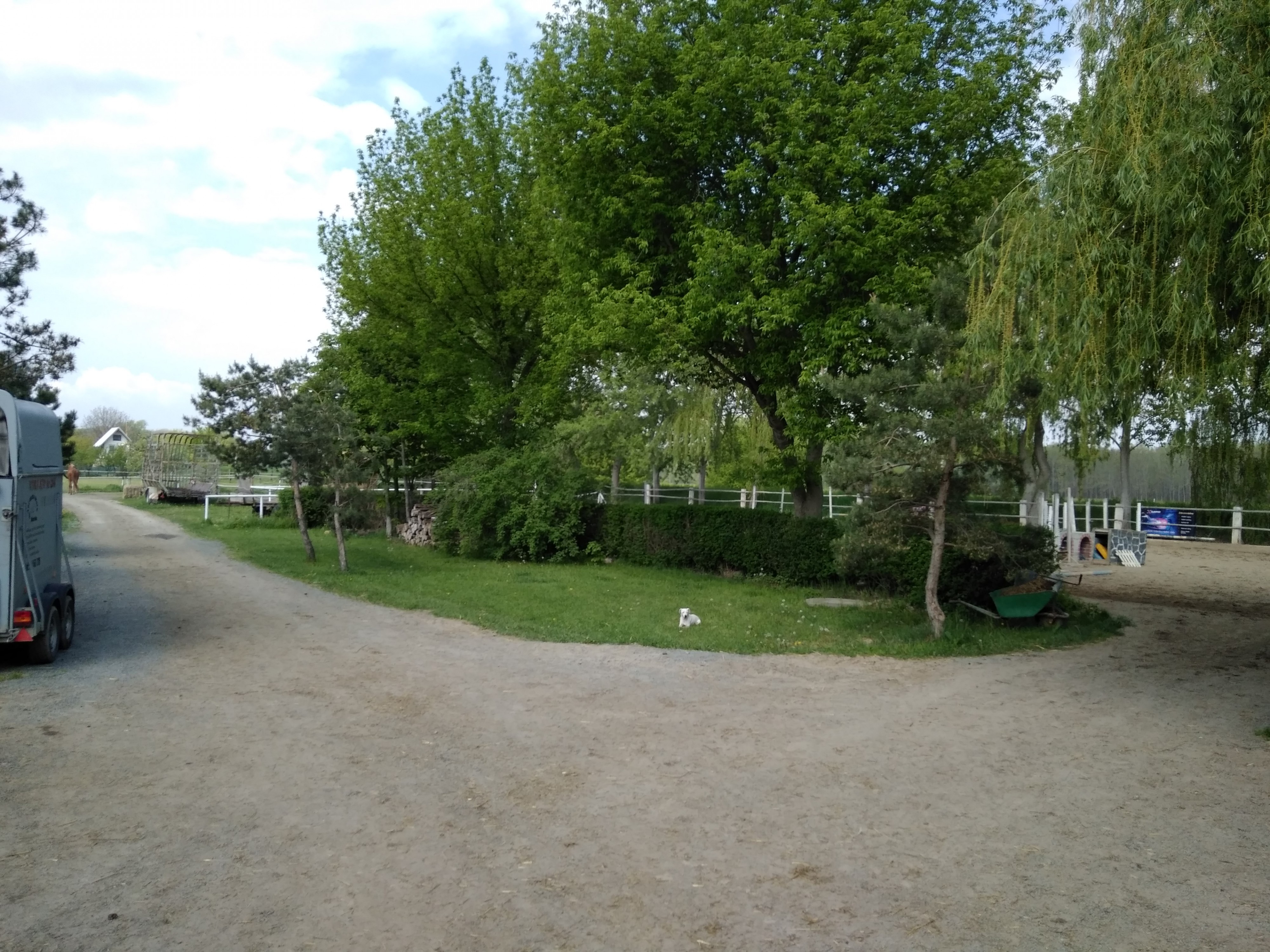 Jezdecká škola Uherčice foto 2