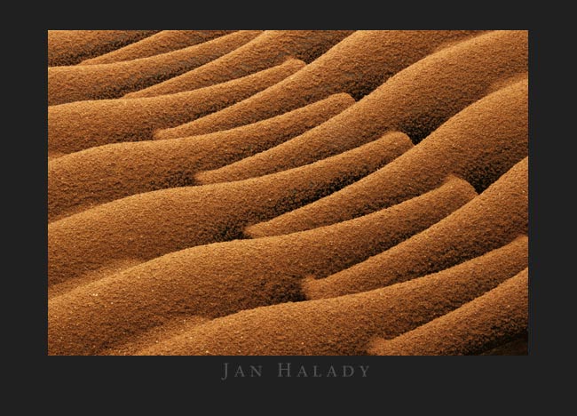 Jan Halady - fotografické služby foto 4