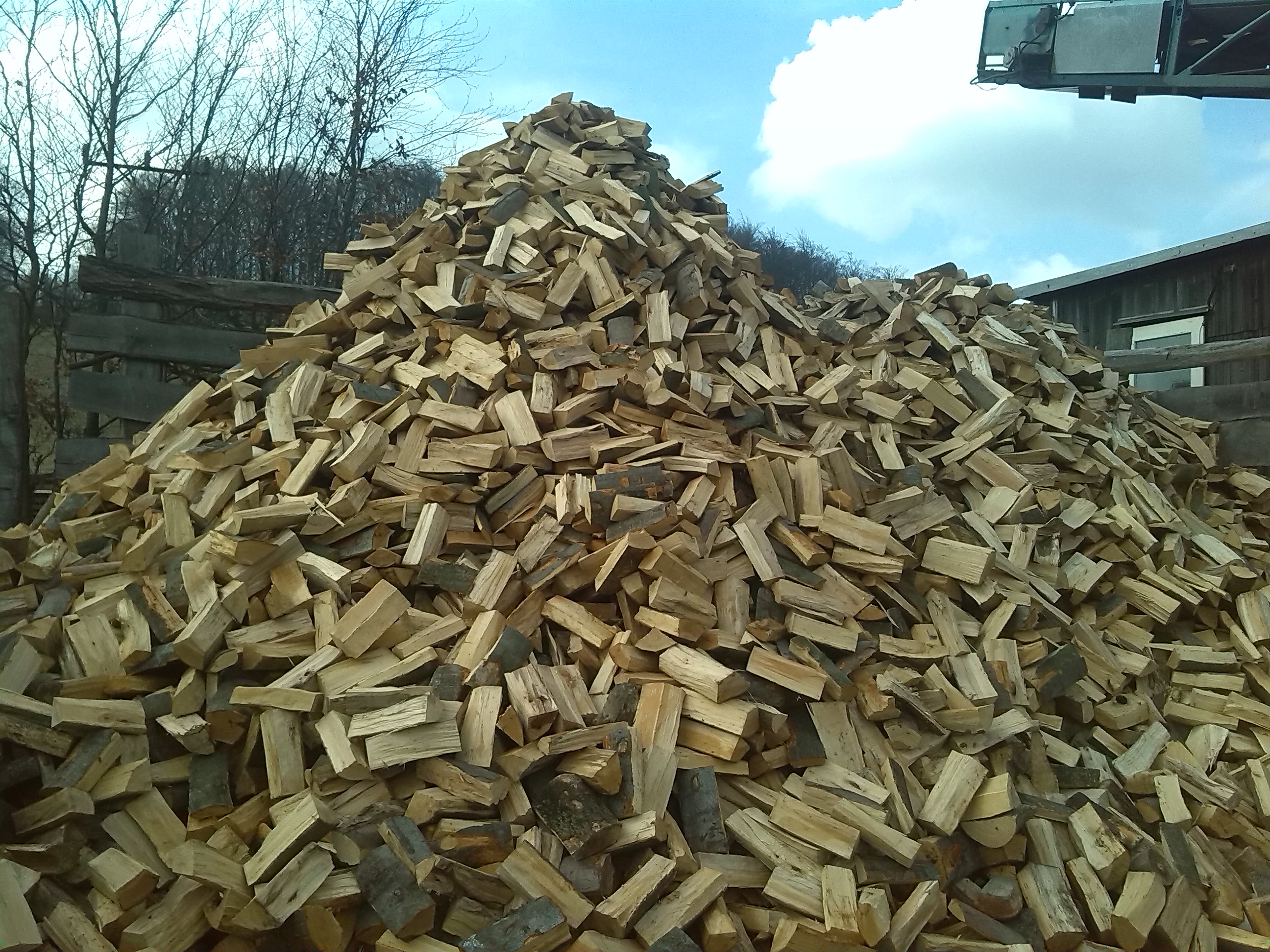 Pavel Neugebauer - Orlické dřevo foto 4