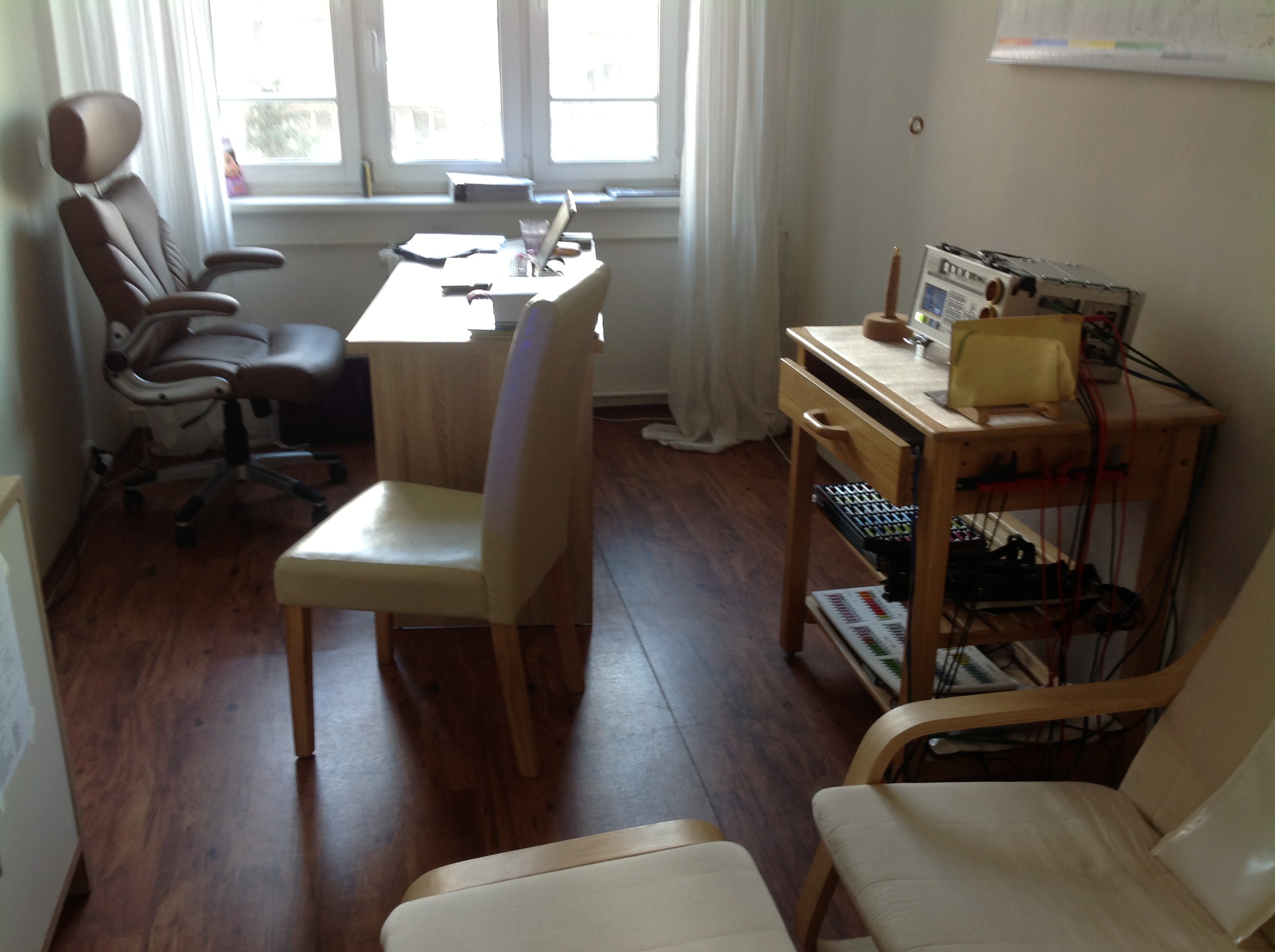 Jolana Váchová - homeopatie - biorezonance foto 2