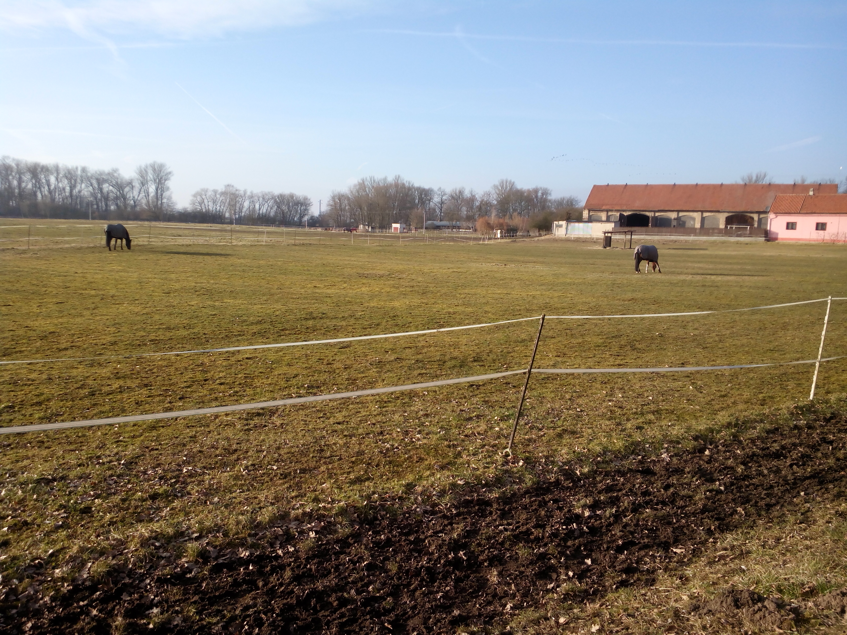 Jezdecký klub Komárno - Nymburk foto 2