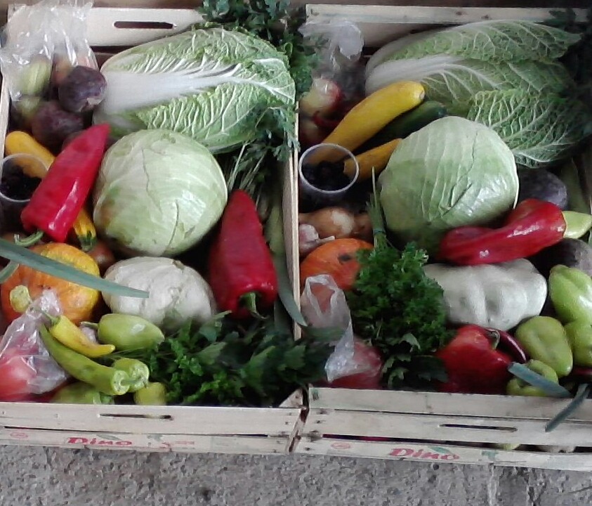 Zahradnictví Špunar foto 3