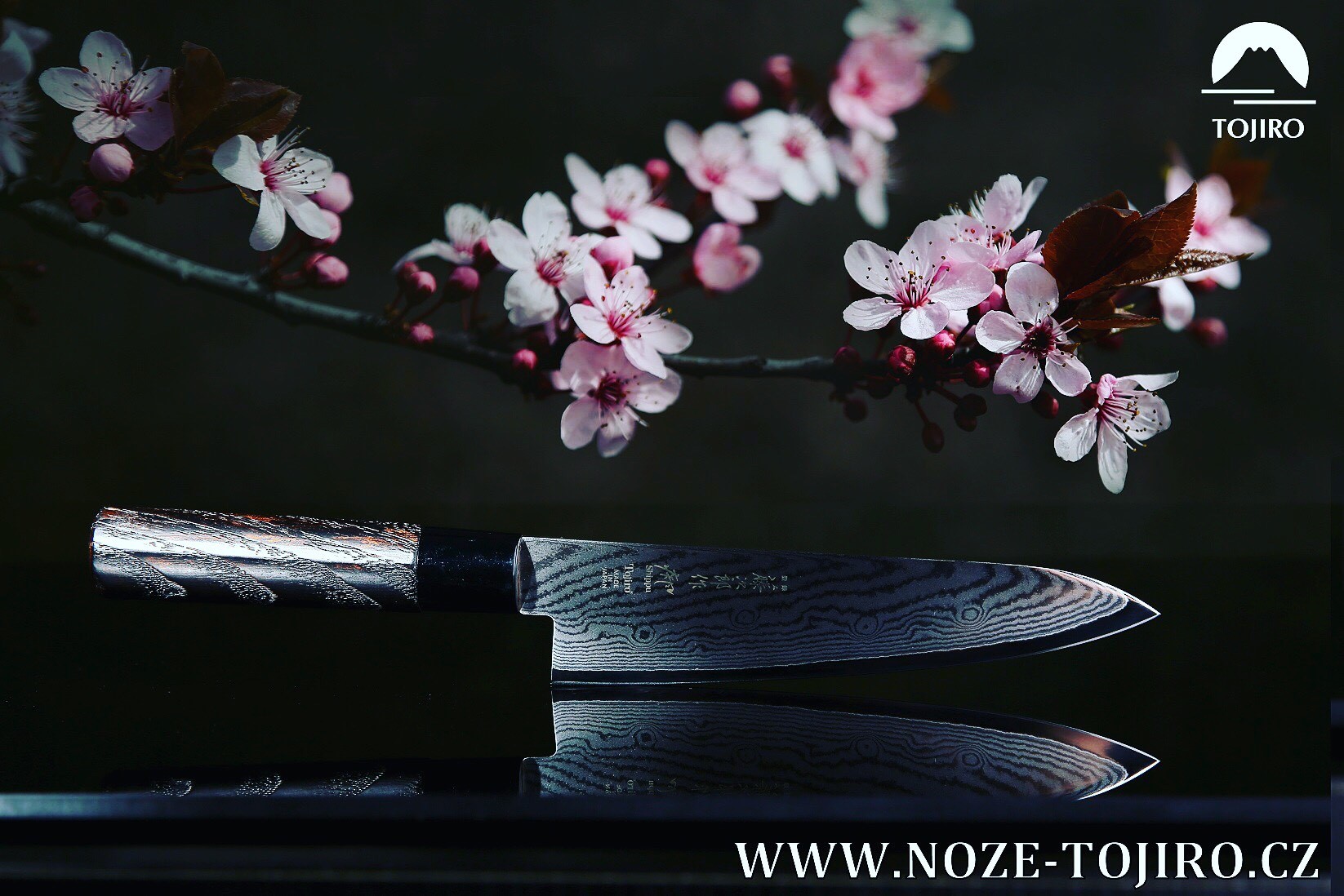TOJIRO CZ s.r.o. foto 6