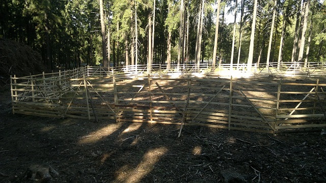 Lesní práce - Petr Pomahač foto 3