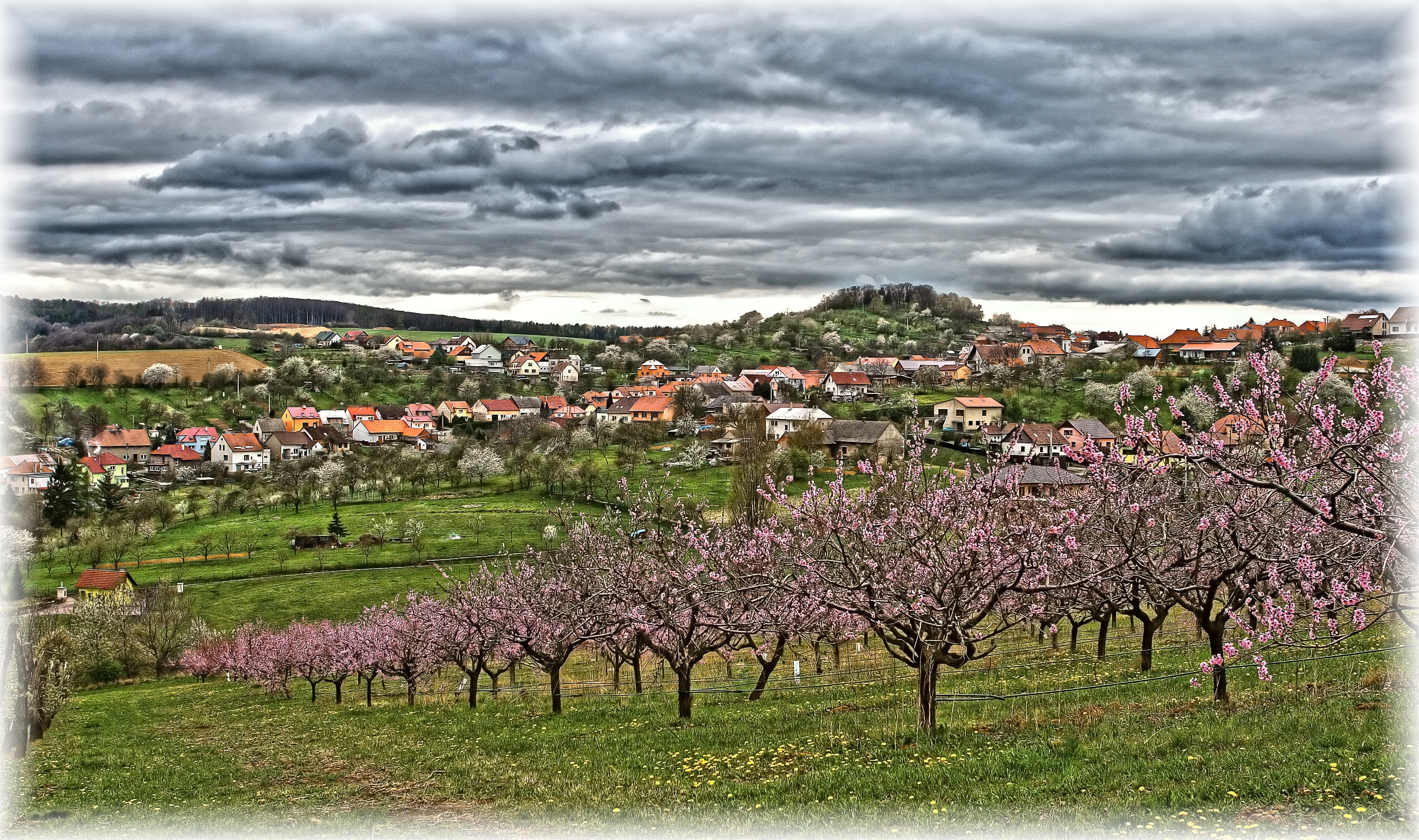 Jaromír Machač foto 4