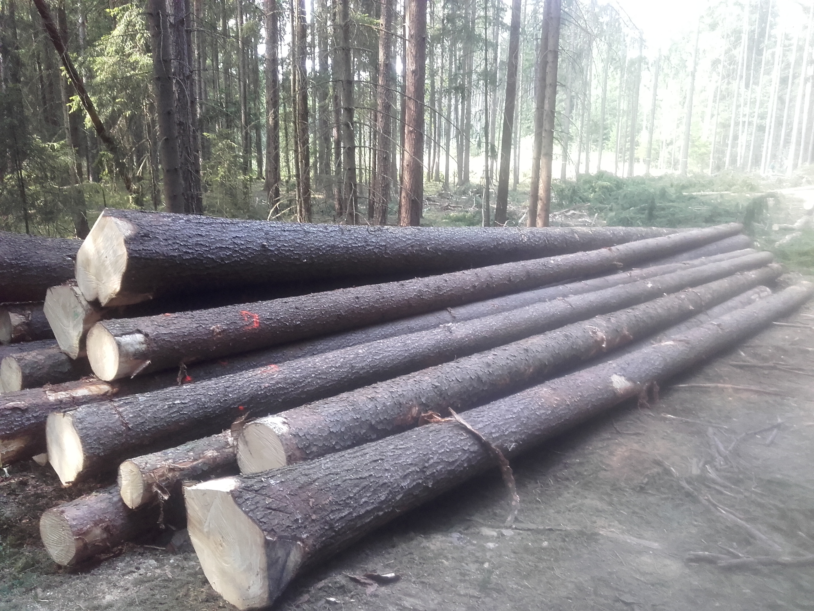 L-WOOD s.r.o. foto 2