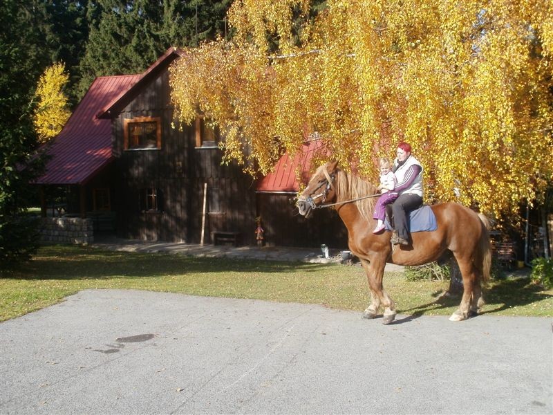 Chalupa U Kapličky Rejdice foto 2