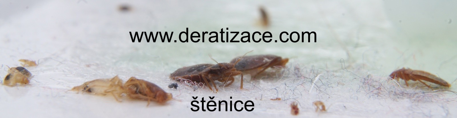 Hygienická a technická správa objektů WSi s.r.o. foto 2