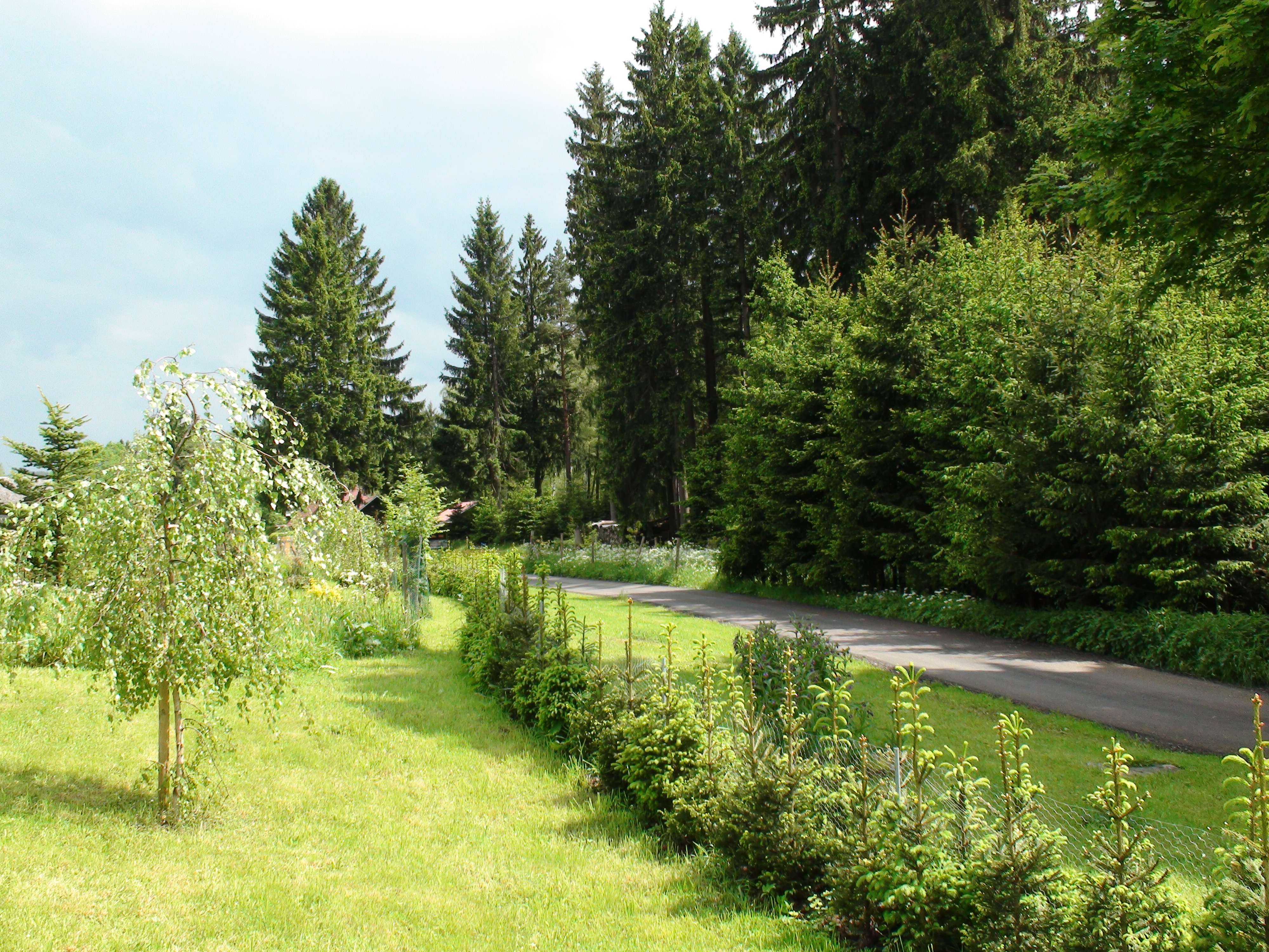 Srub Javorná - Apartmány Šumava foto 4