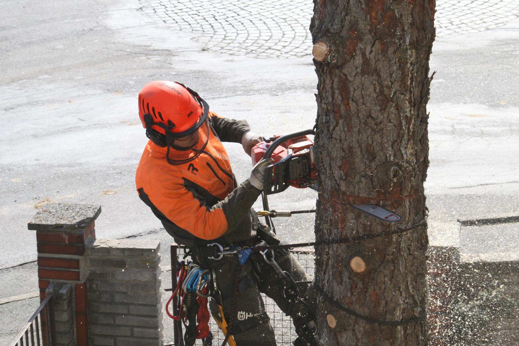 Lukáš Konopiský - Rikastr.cz