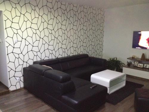 MALÍŘI NATĚRAČI CZ foto 6