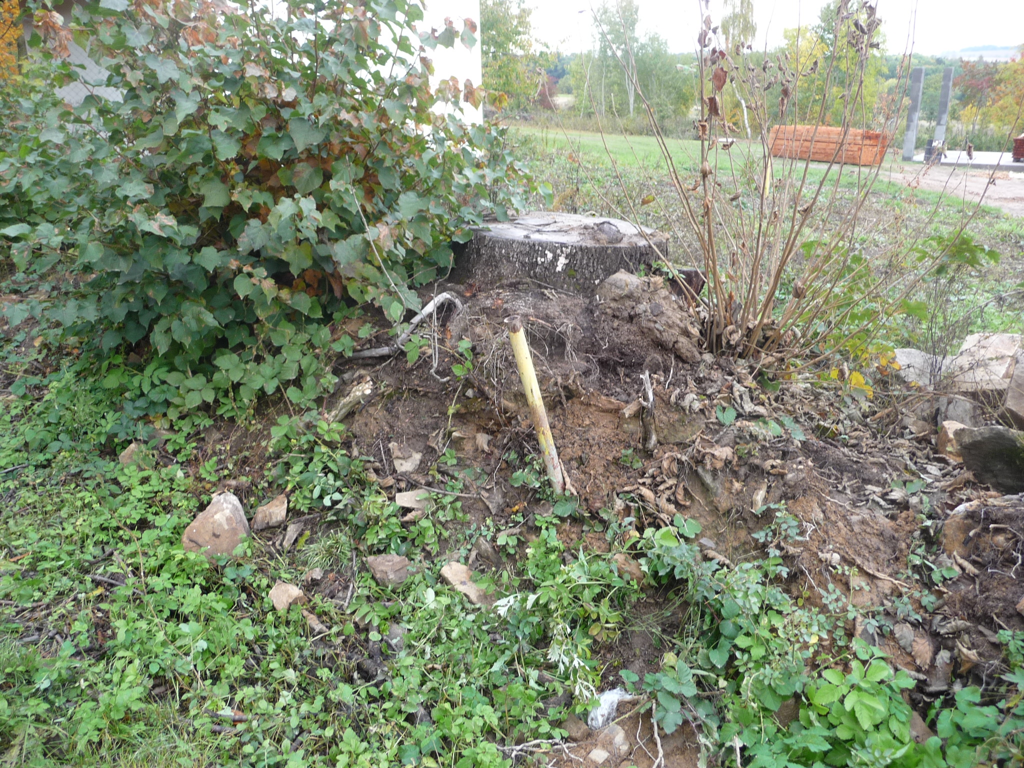 Frézování pařezů Jiří Paleček foto 2