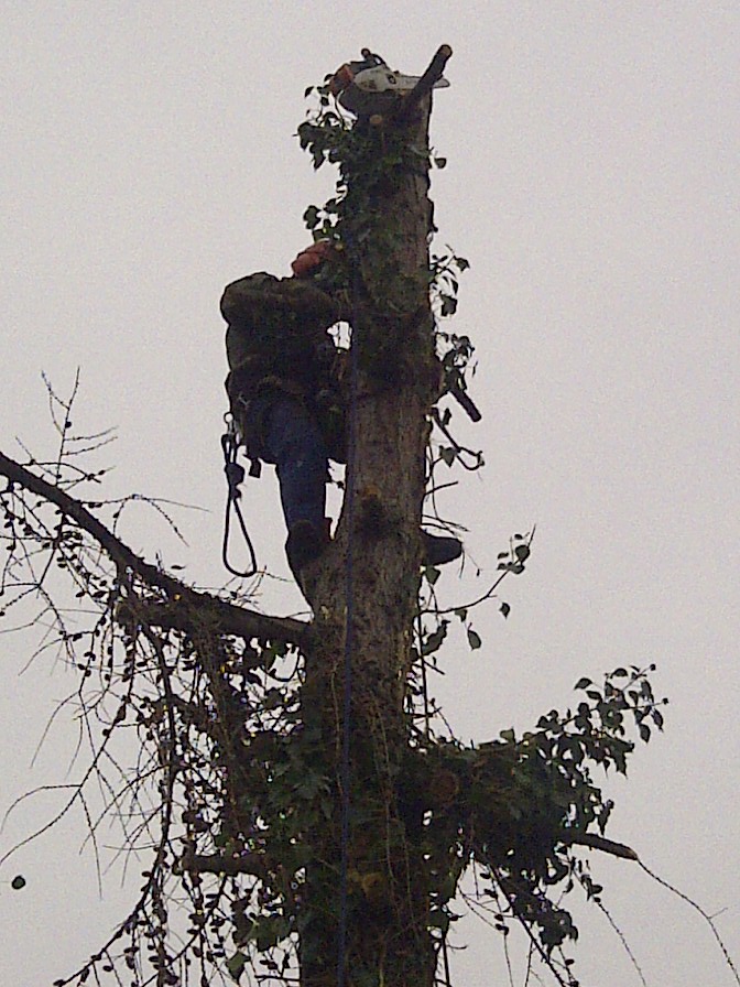 Tomáš Brouček foto 6