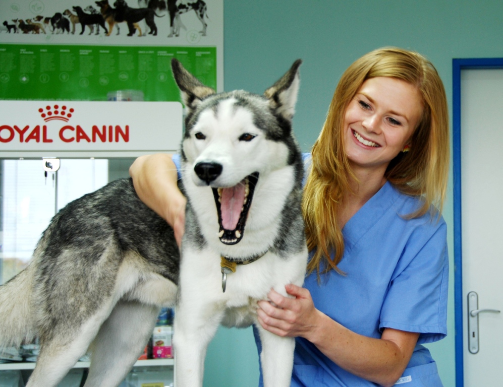 Veterinární klinika ANIMED foto 4