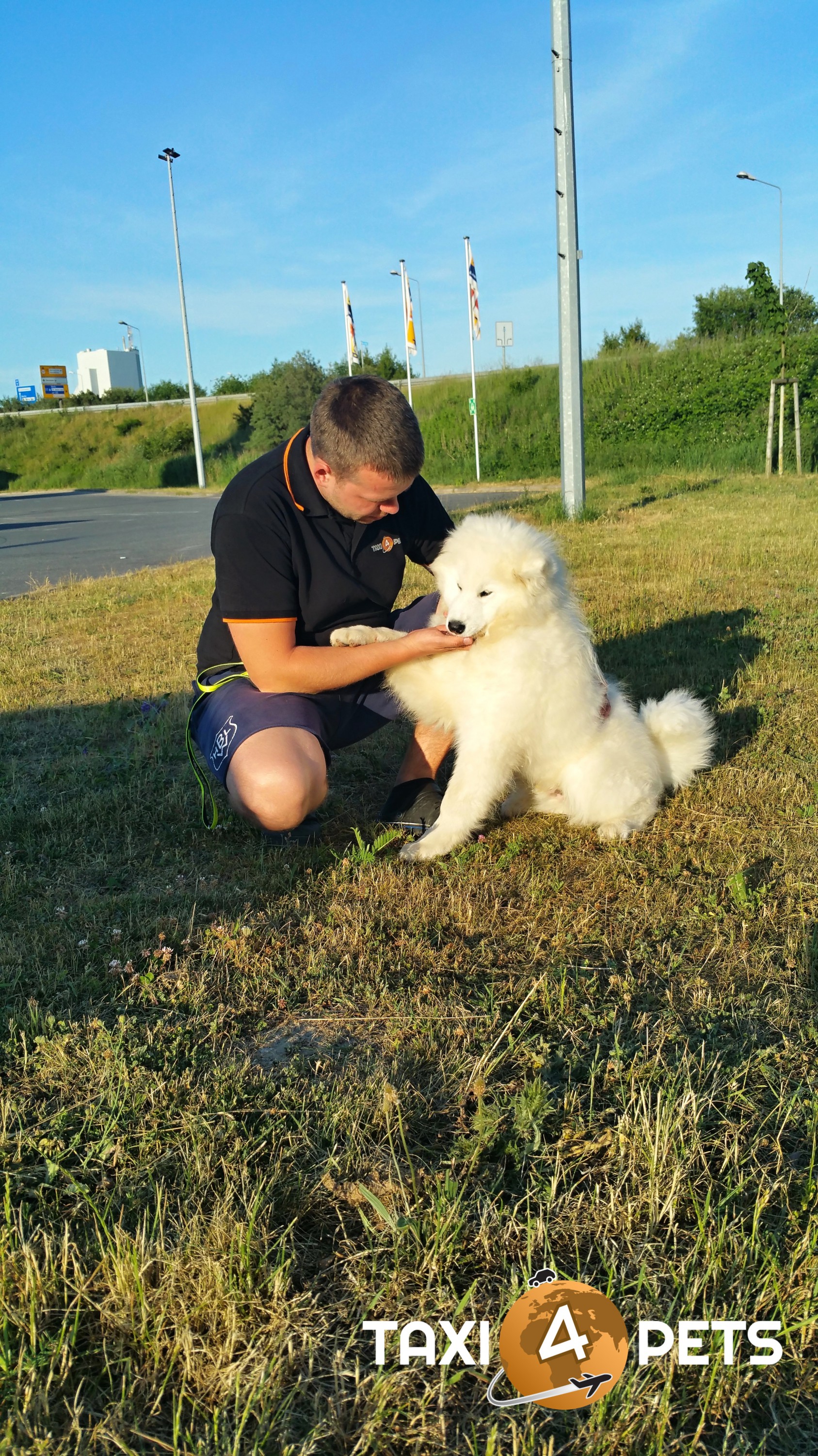 TAXI4PETS foto 4