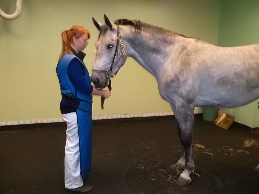 Veterinární lékař - MVDr. Lenka Sedláková foto 2