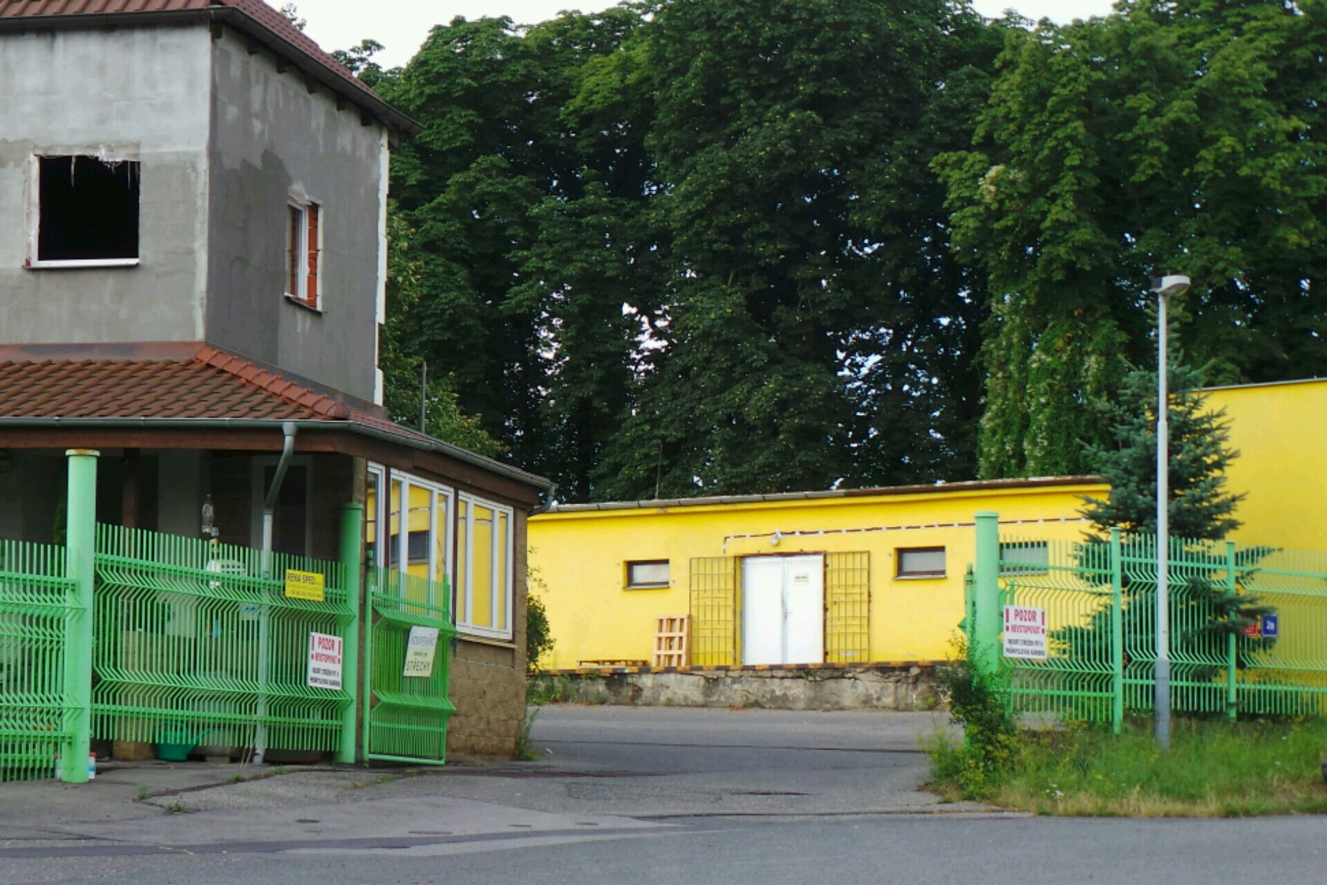 Dagmar Levá