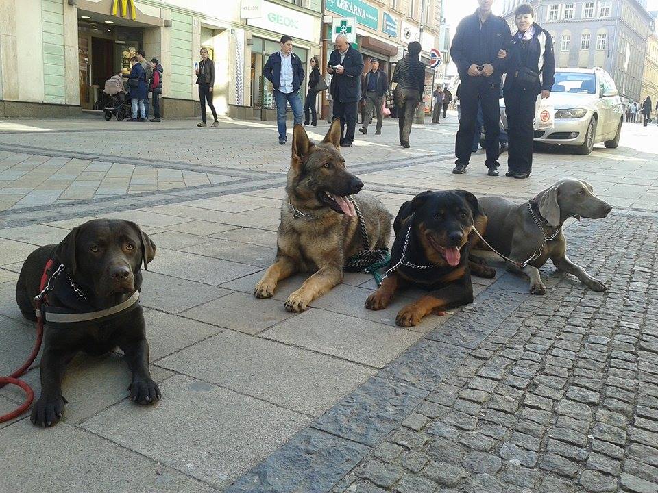 Pavlína Málková foto 3