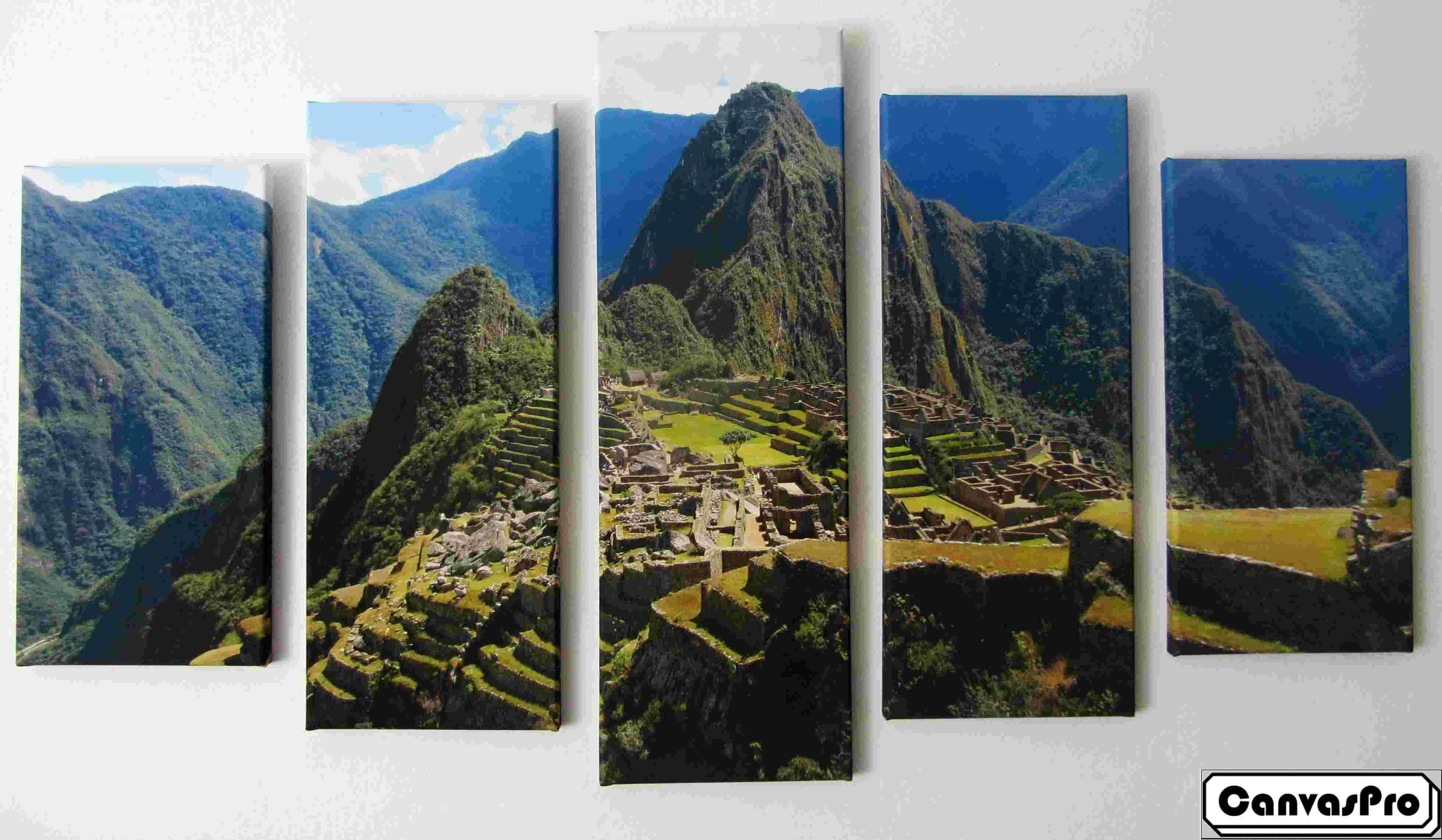 CanvasPro foto 2