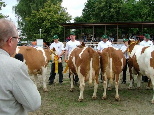 Farma u Drhovských foto 2