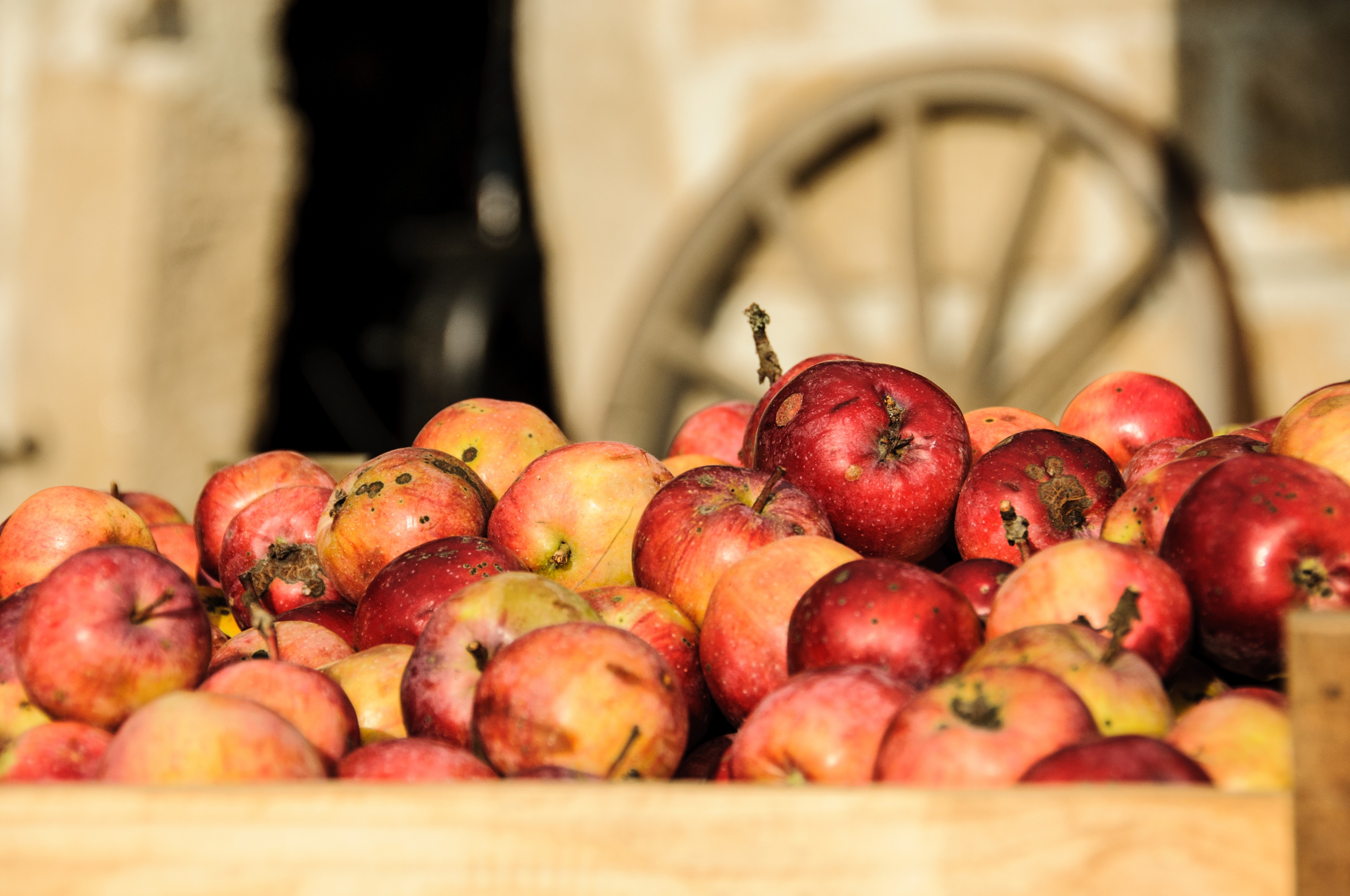 Rossbach Cider foto 2