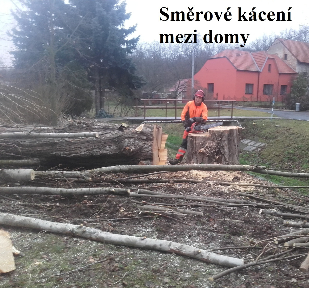 Miroslav Kocman foto 2