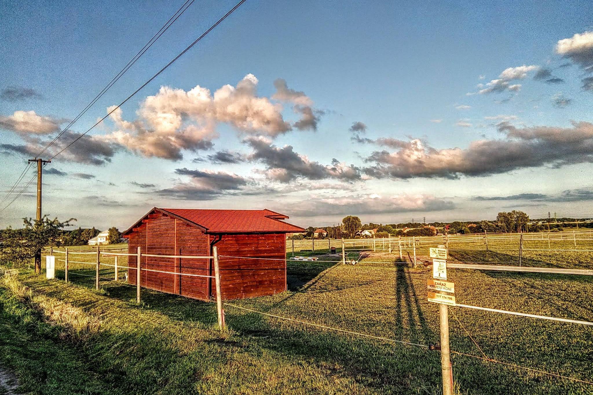Mgr. Martina Niederlová