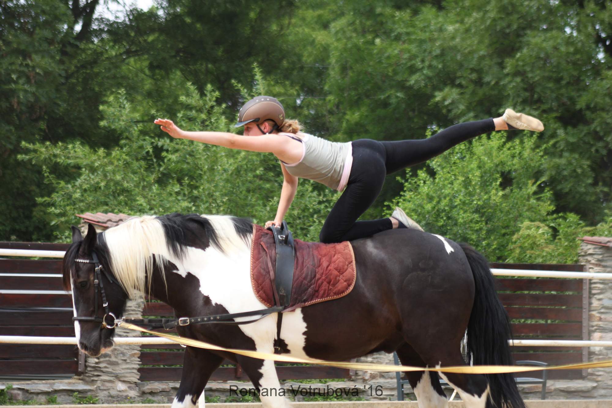 Jezdecká škola Trojanův Dvůr foto 3