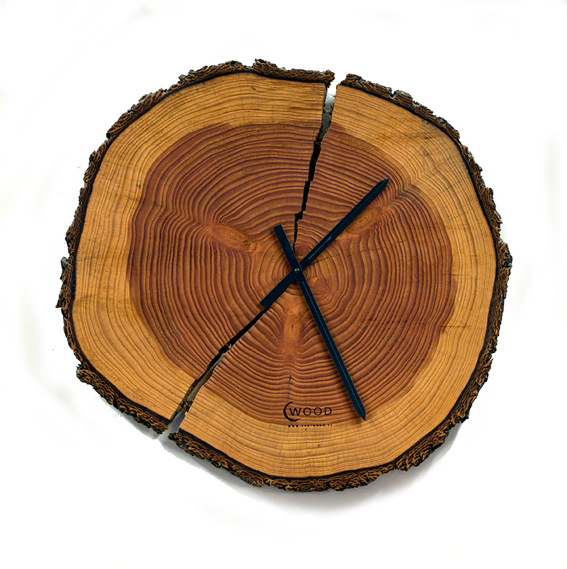 Cool Wood s.r.o. foto 6