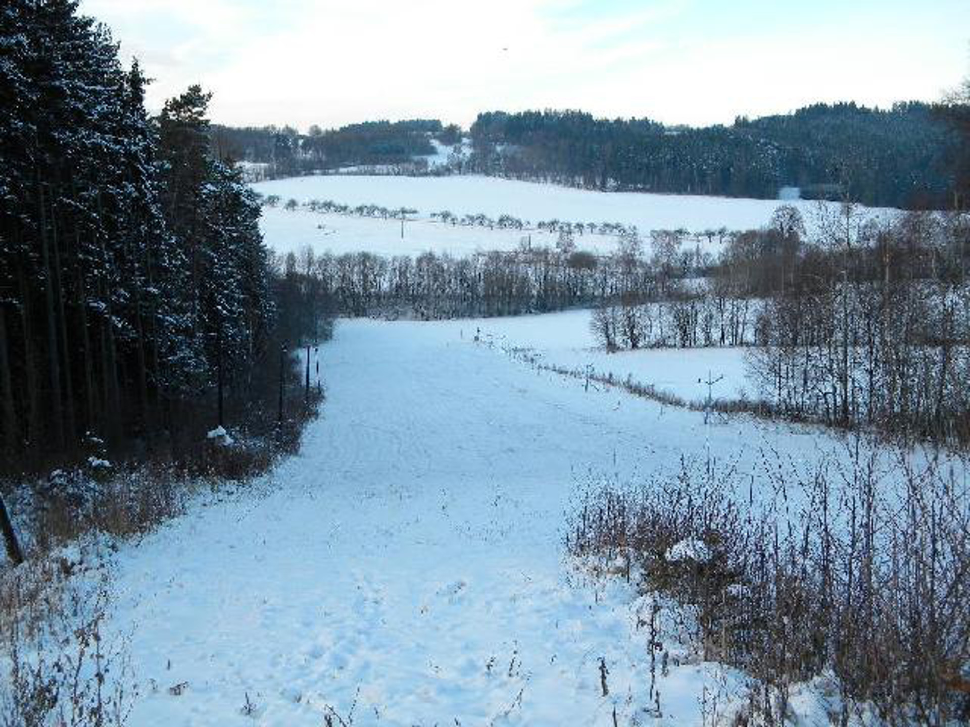 Tělovýchovná jednota Sokol Božejov