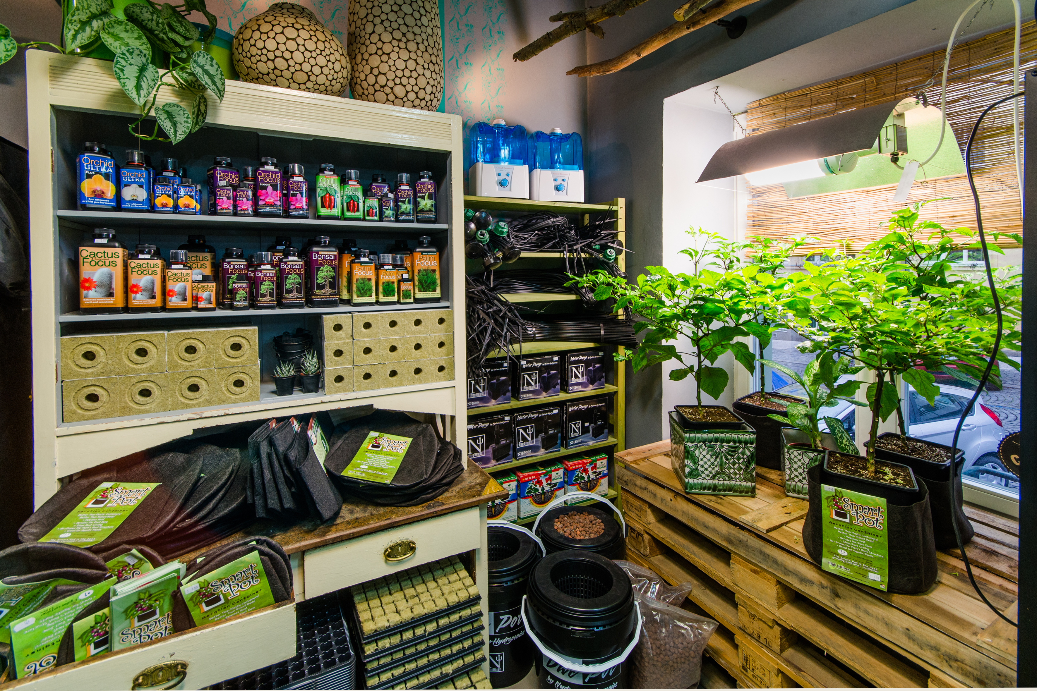 Grow4u.cz foto 3