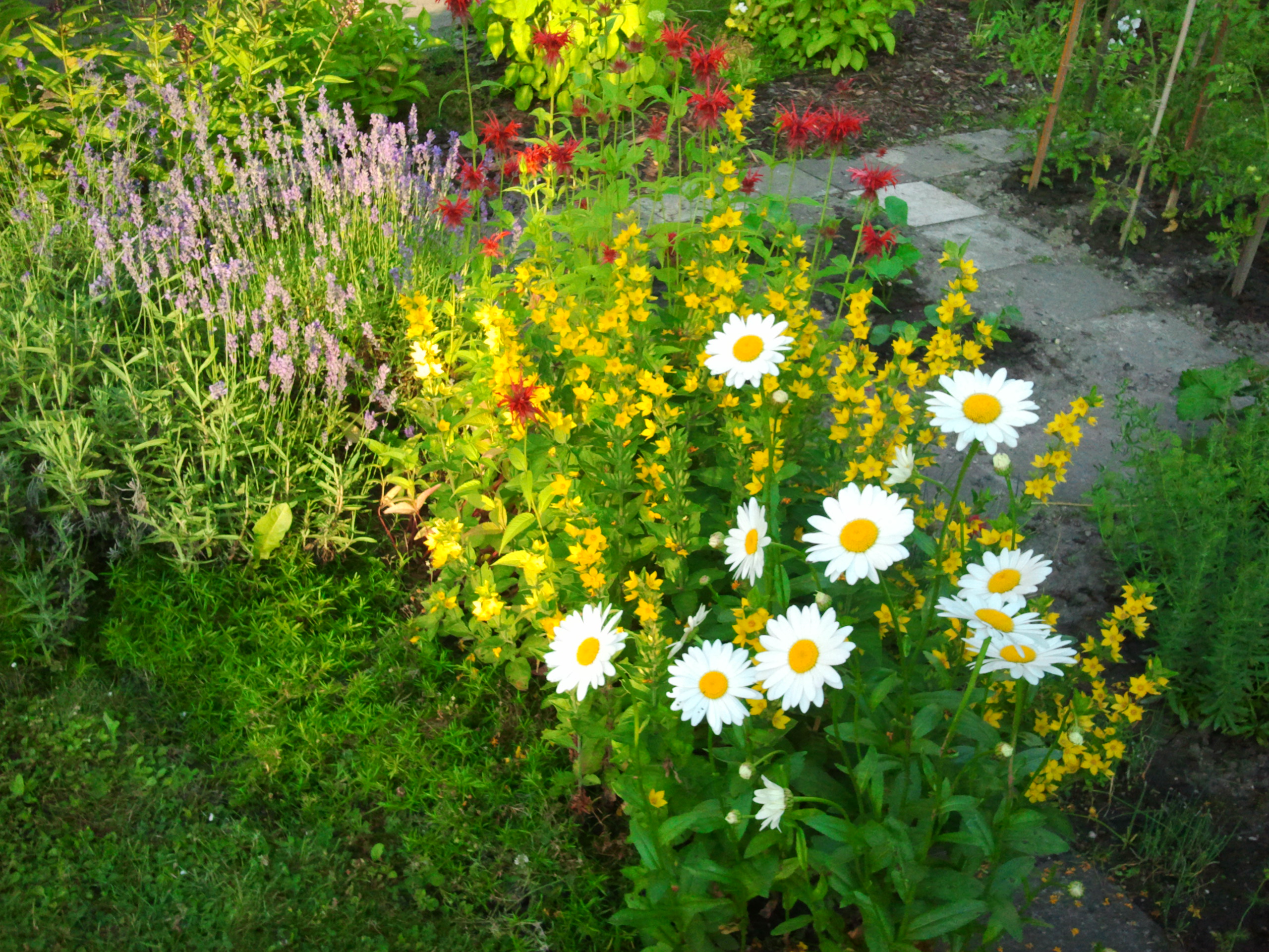 ATELIER GREEN & WHITE, Ing. Jiří Baroch foto 4