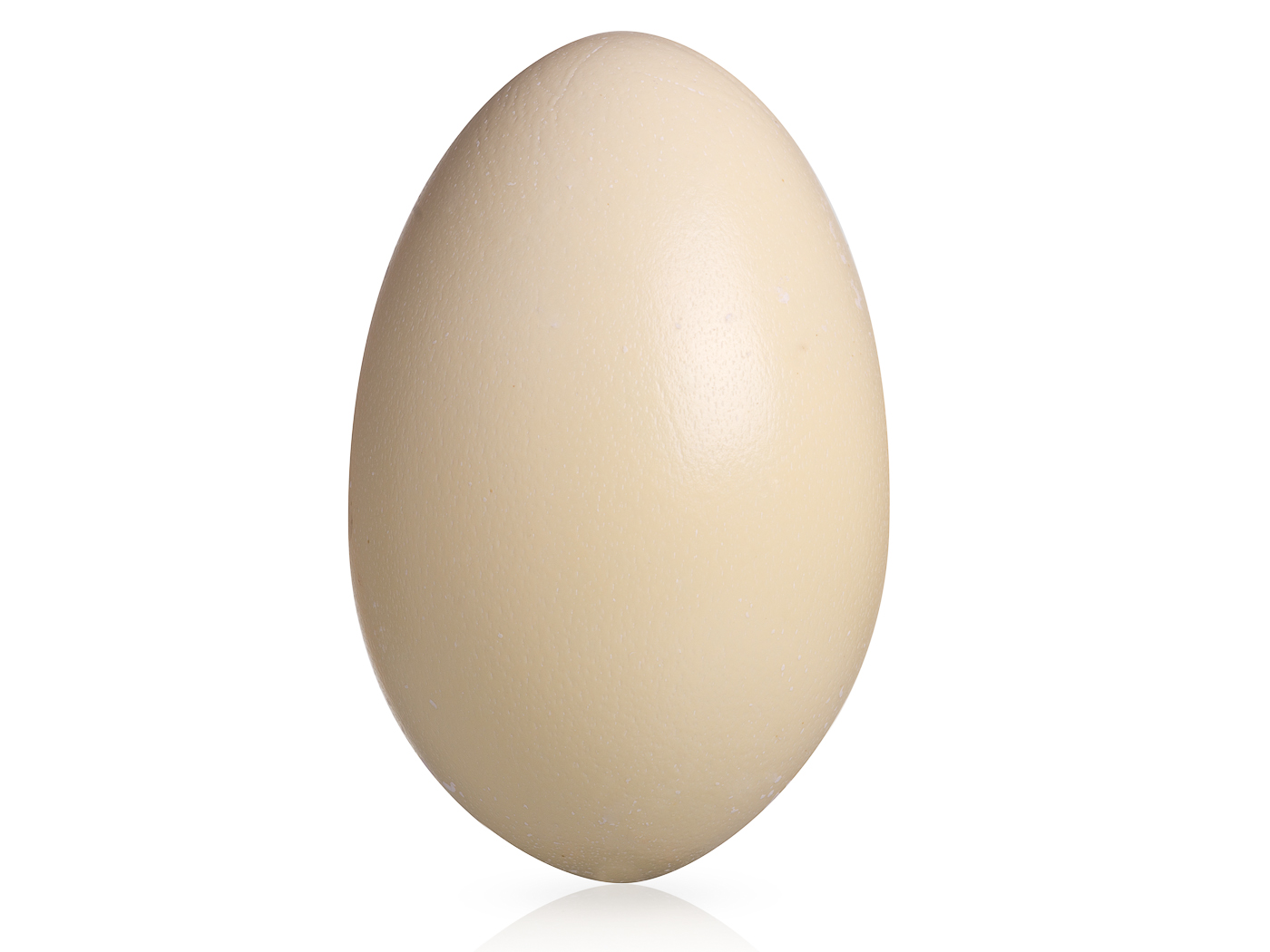 Pštrosí Vršek Wieder foto 2