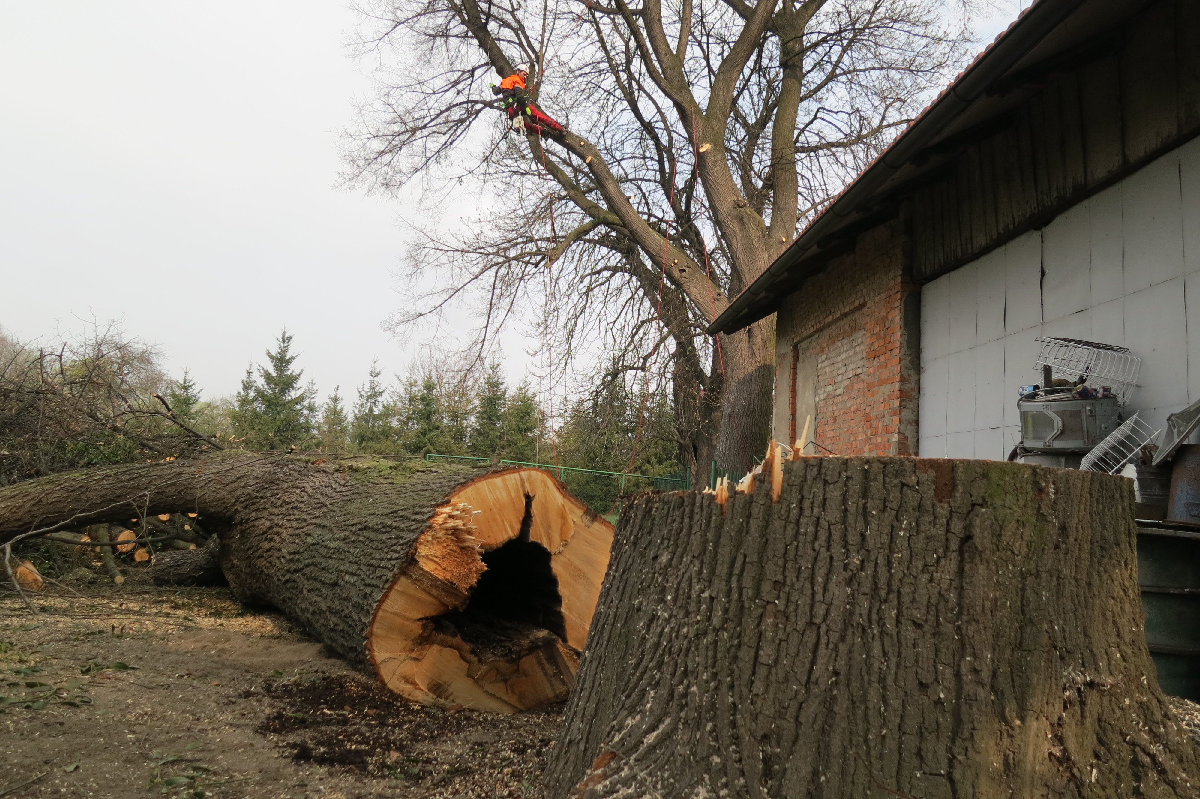 Tomáš Kvarda foto 3
