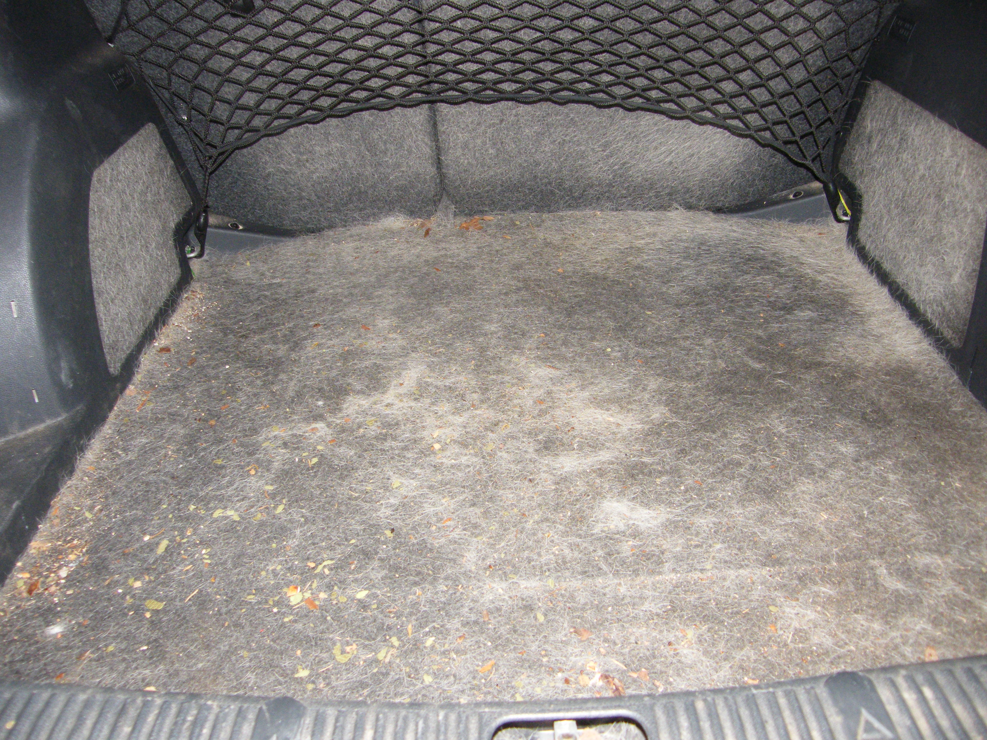 Čištění Lorenc foto 2