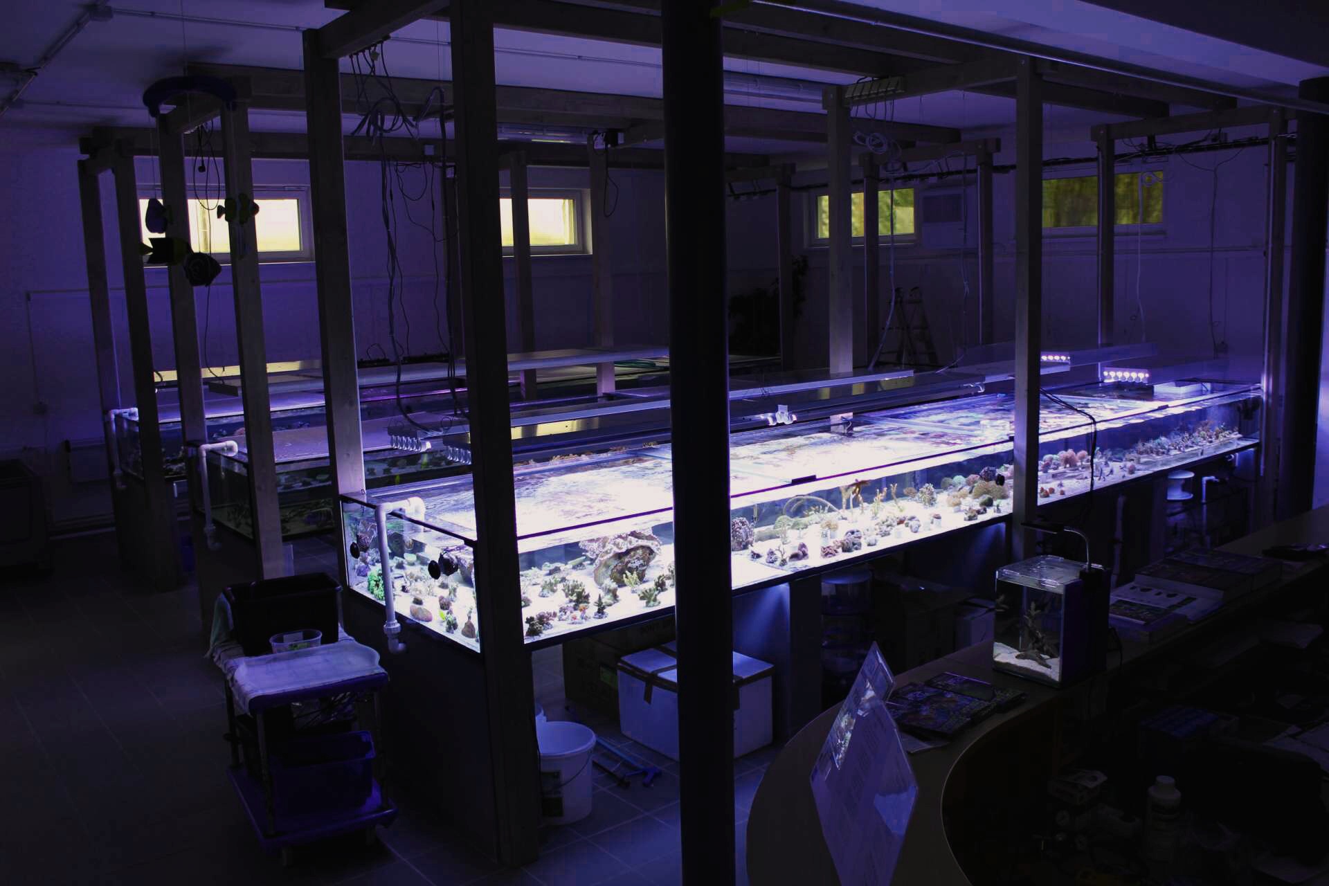 Mořské akvárium Pepinův útes foto 3