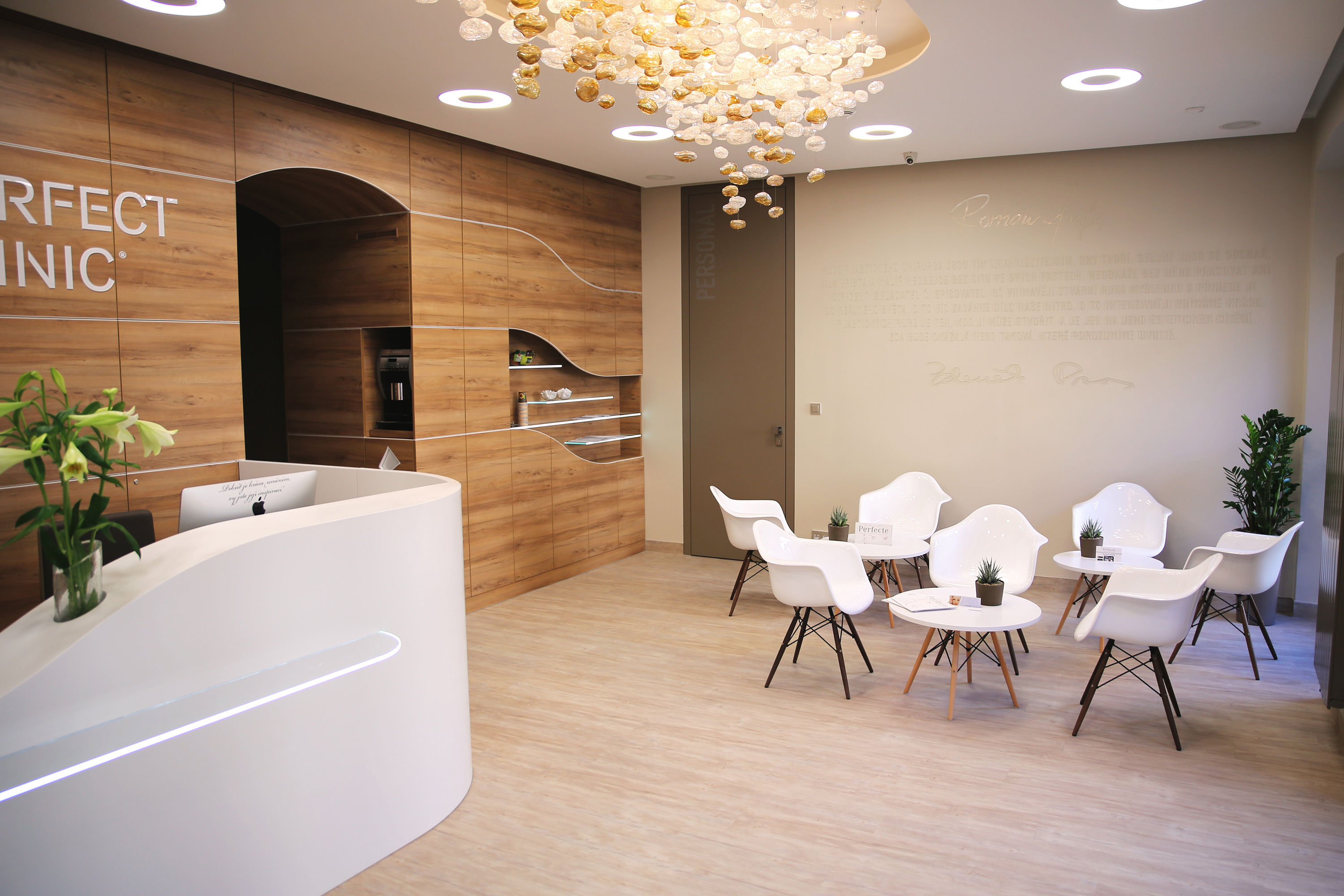 Perfect Clinic - klinika plastické chirurgie foto 2