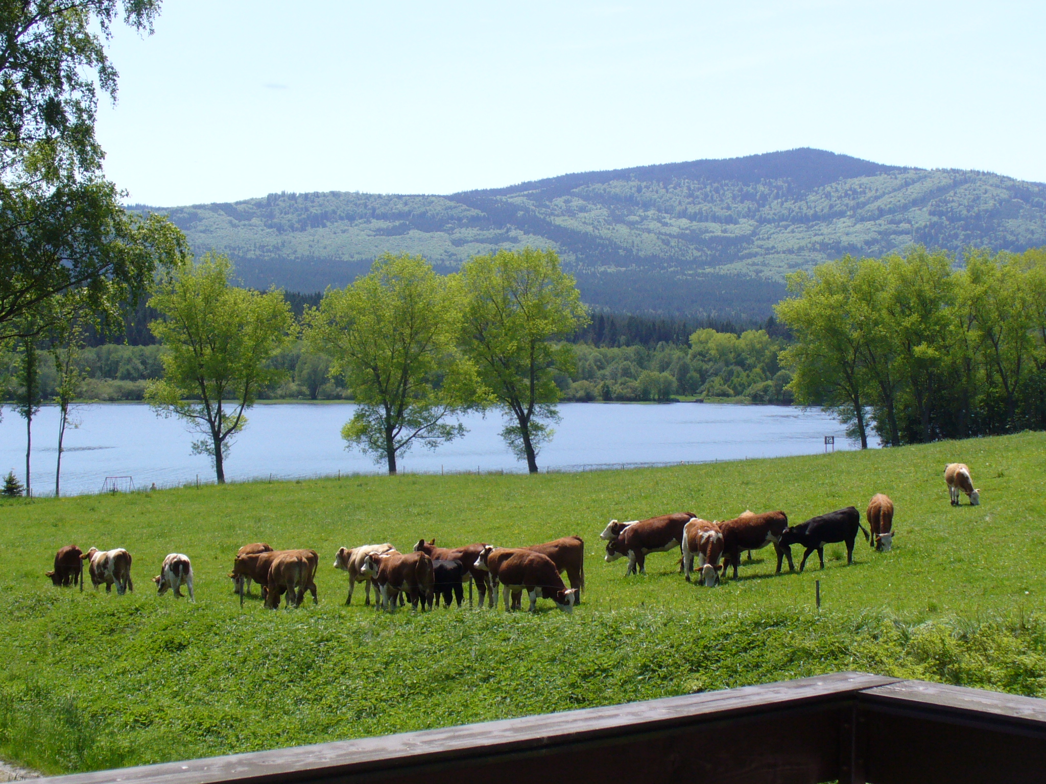 Ubytování Hory 9 foto 3