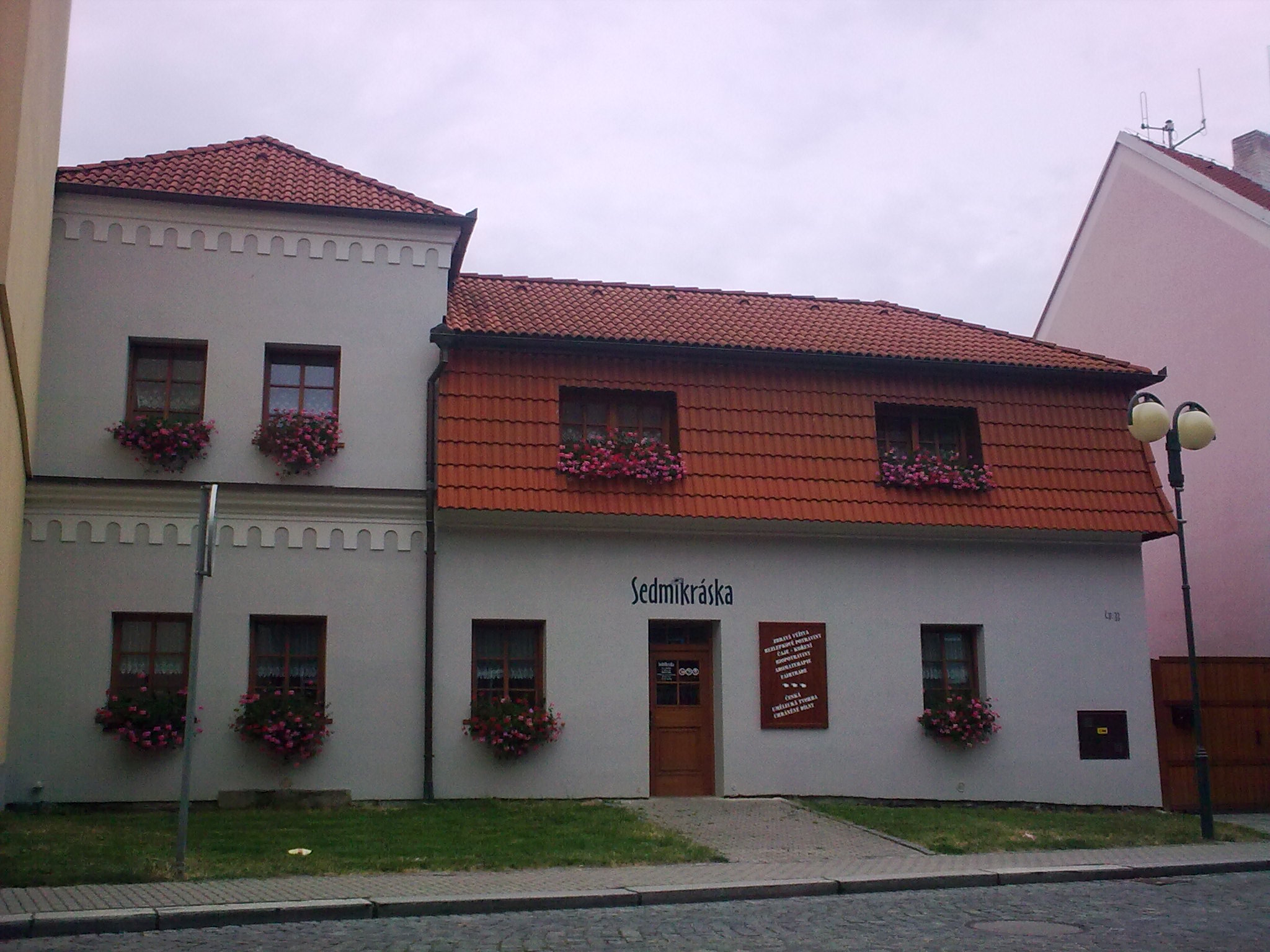 Sedmikráska - Petra Lukešová