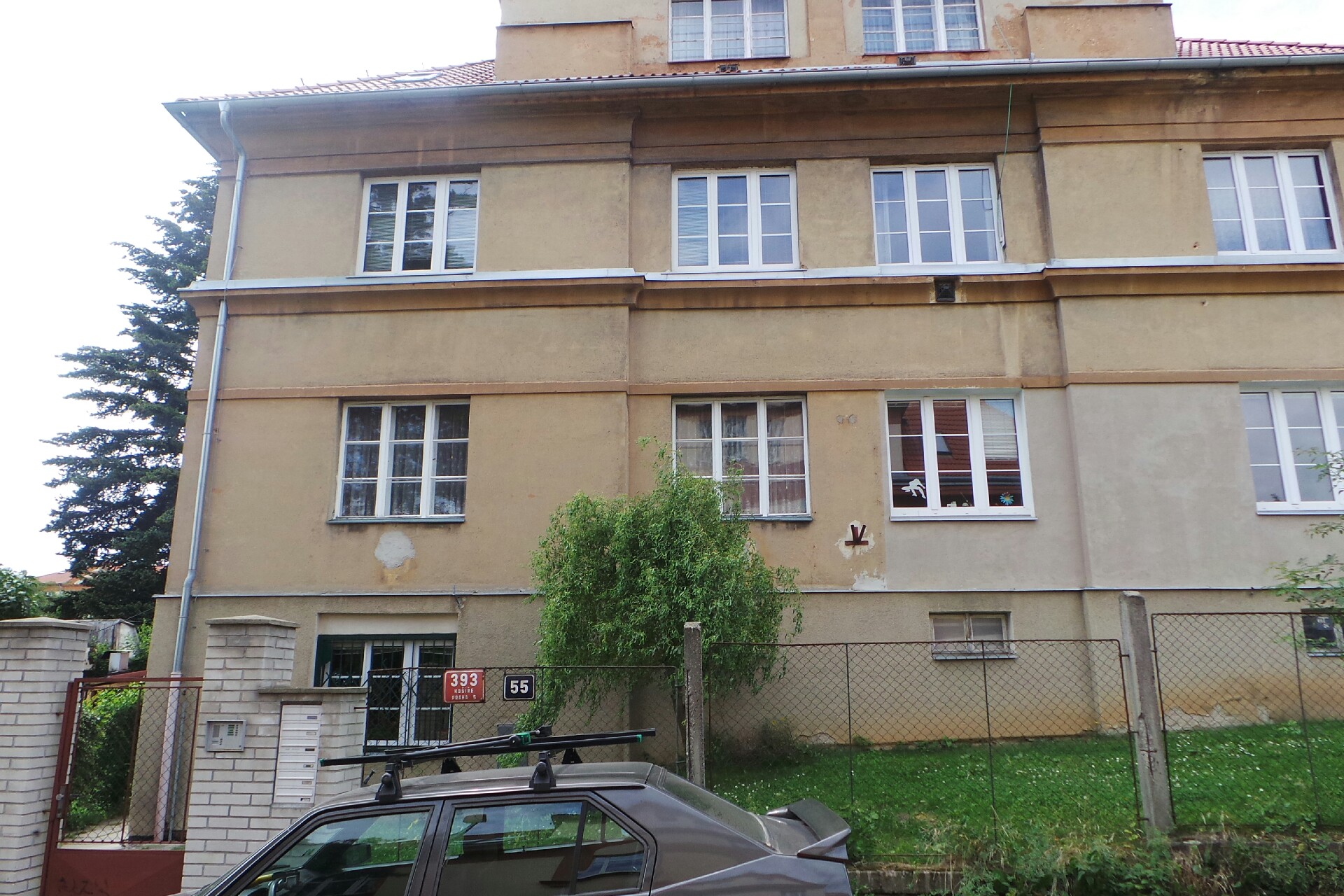 Ing. Kamil Procházka - kaktusy