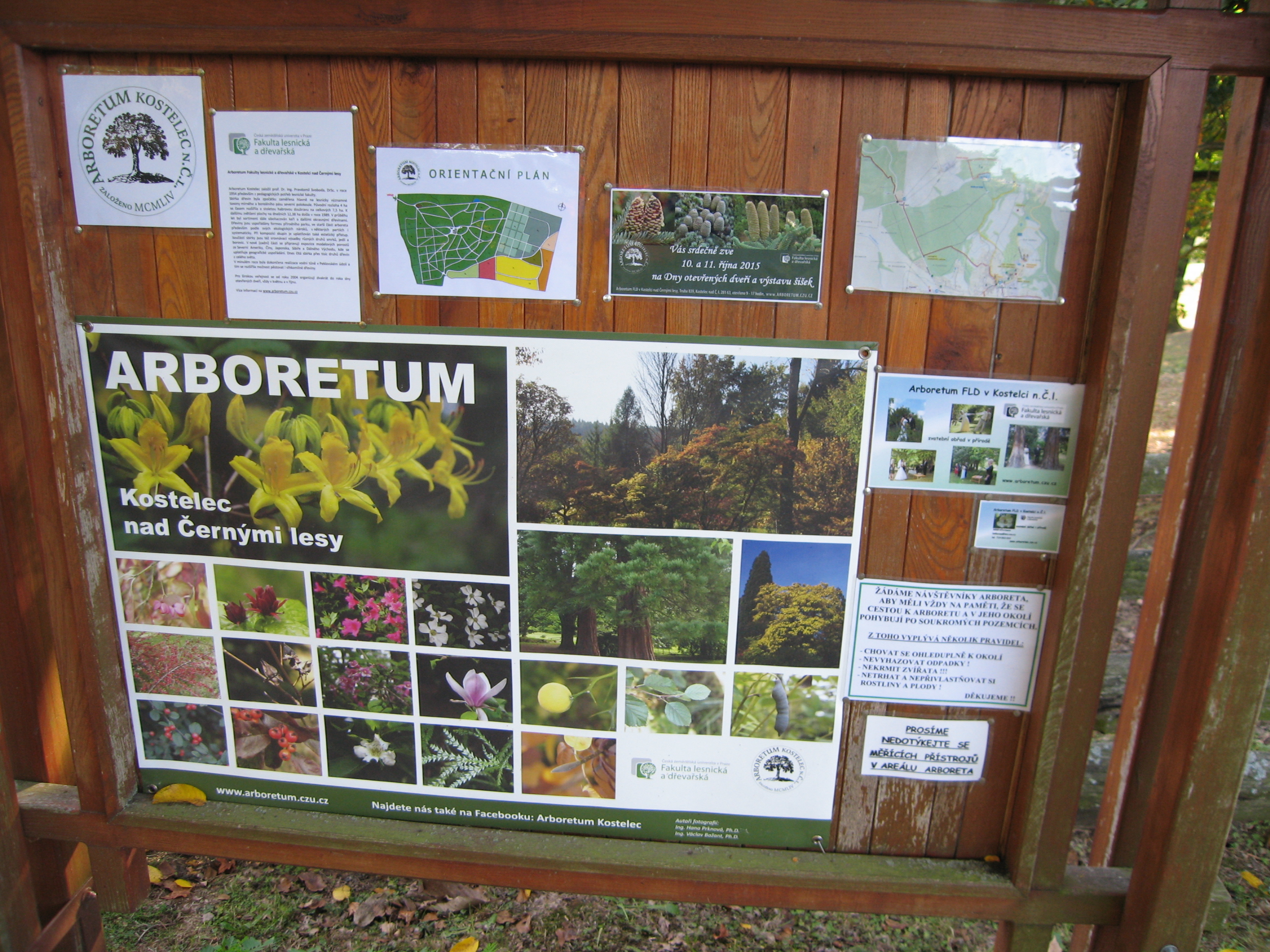 ČZU - Arboretum Fakulty lesnické a dřevařské foto 2
