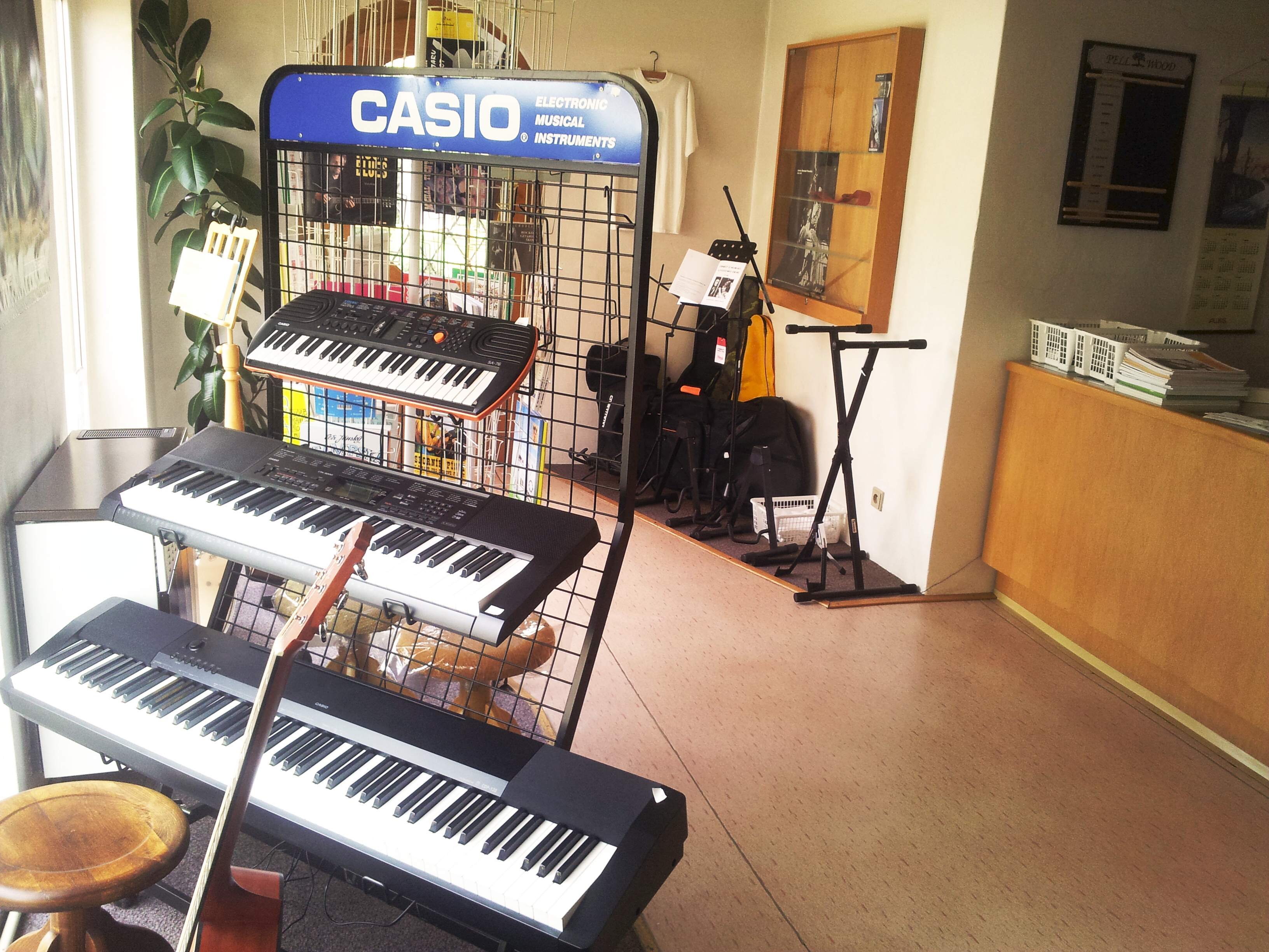 Lyra - Hudební nástroje foto 2