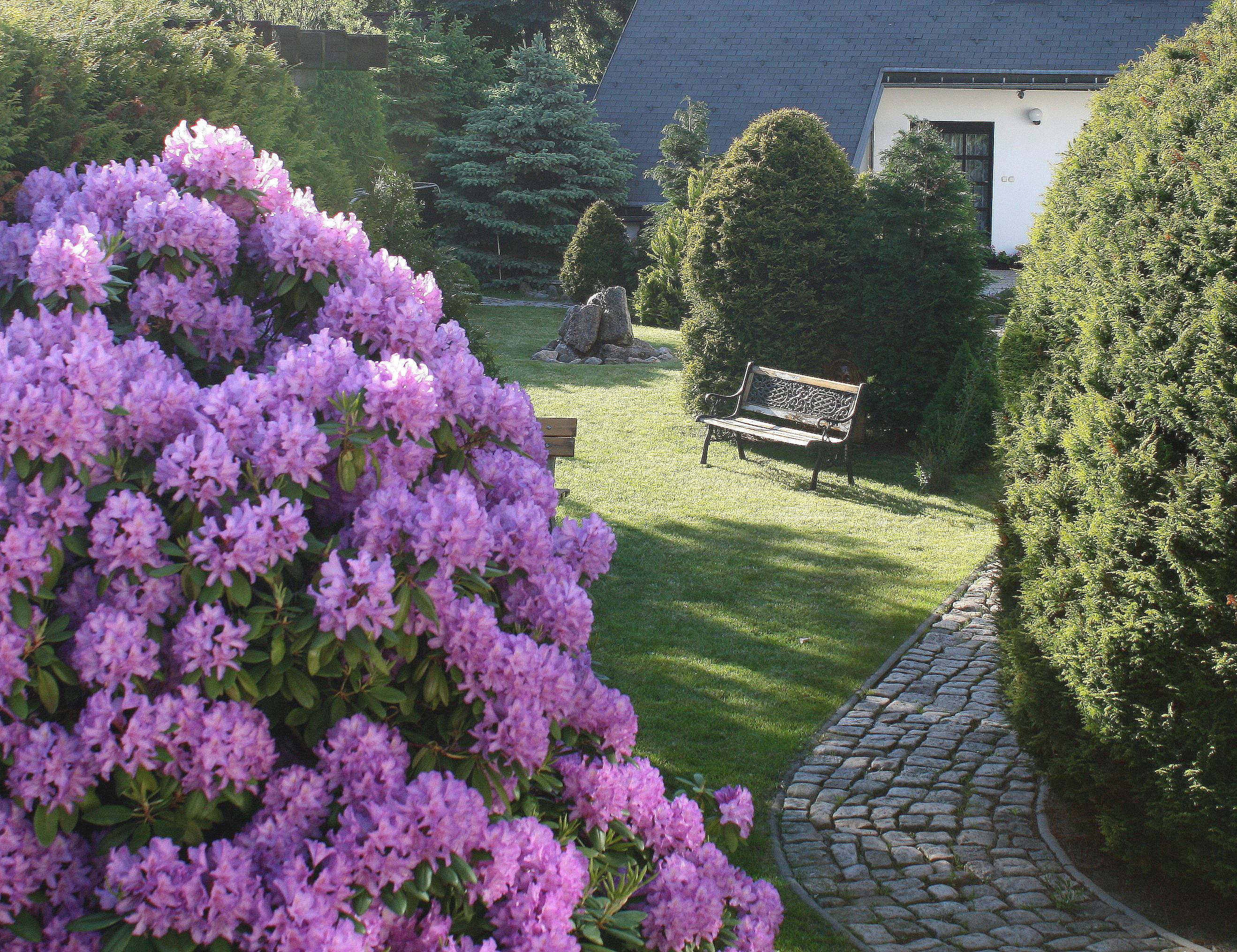 Wellness penzion Lázně Jablonec foto 3