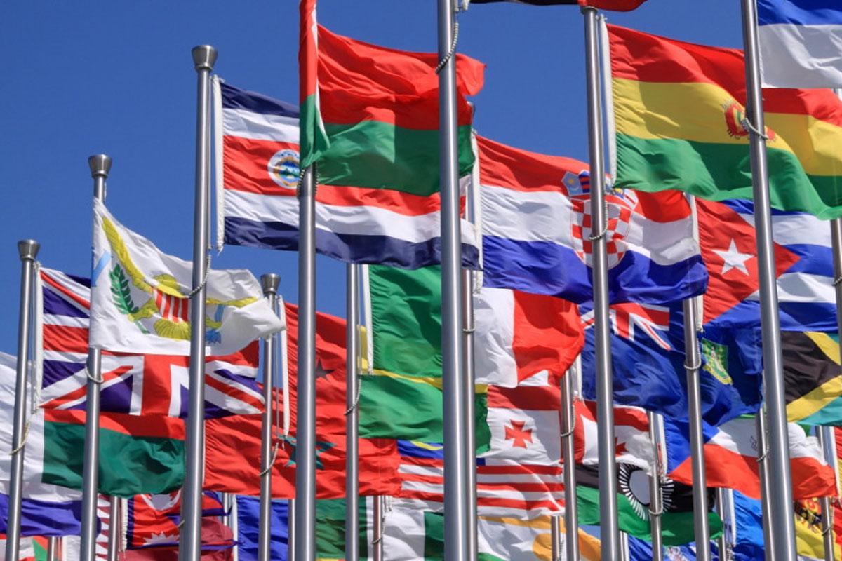 TYLA CZ s.r.o. foto 2