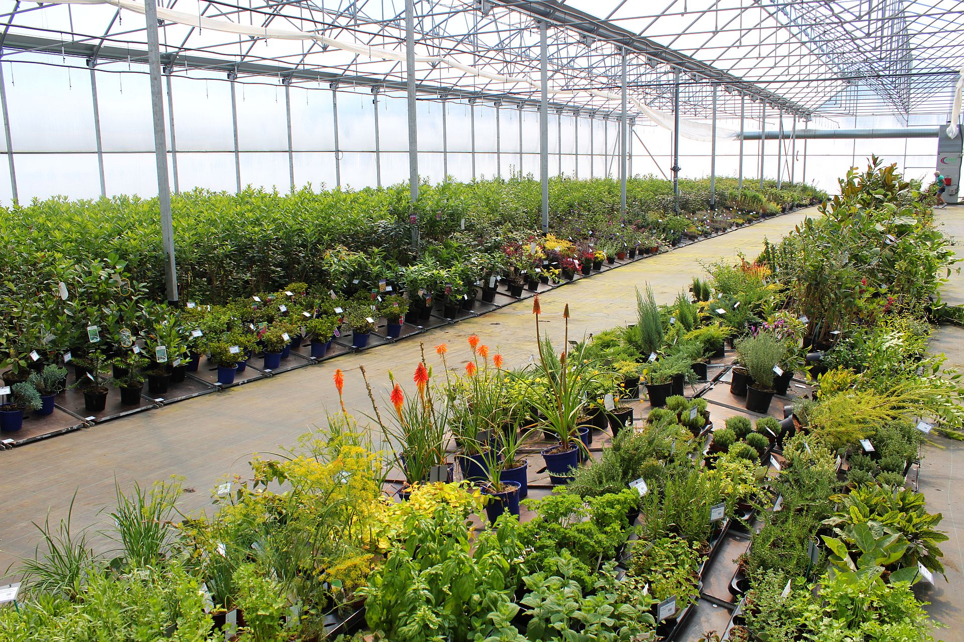 Školka okrasných dřevin Studený foto 2