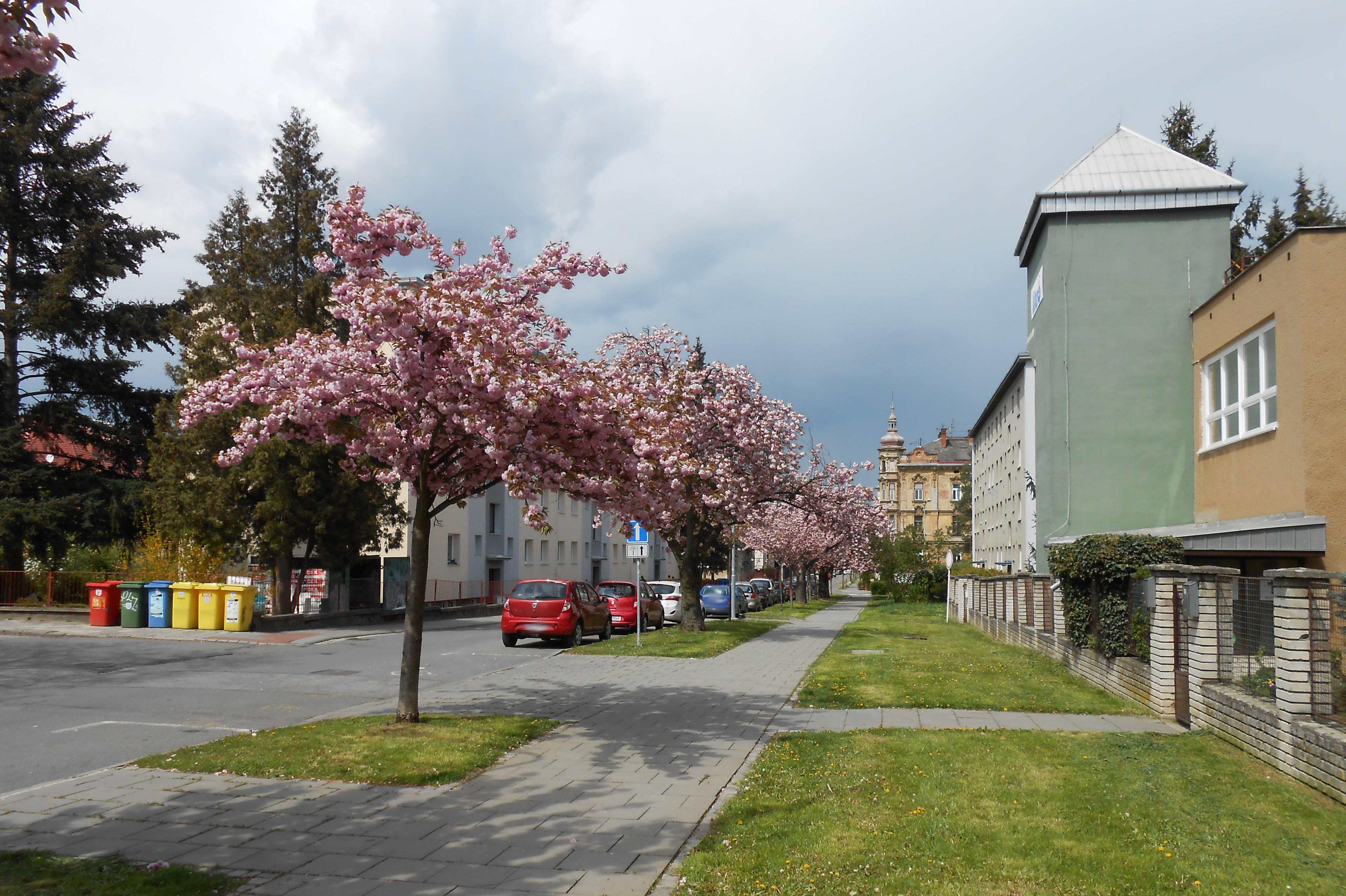 JITROCEL rehabilitační centrum Olomouc