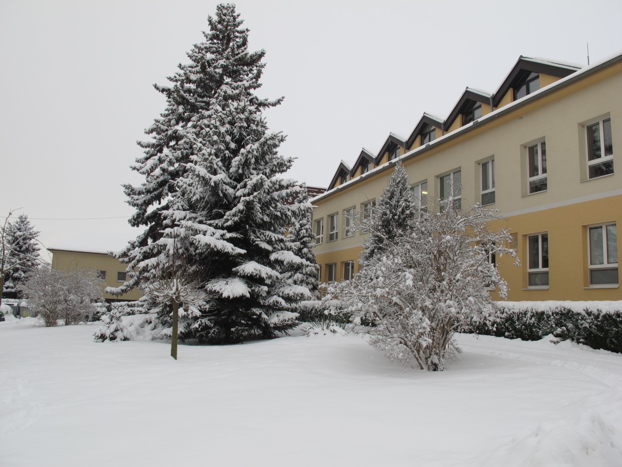 Mateřská škola a základní škola Kyjov, Školní, příspěvková organizace foto 3