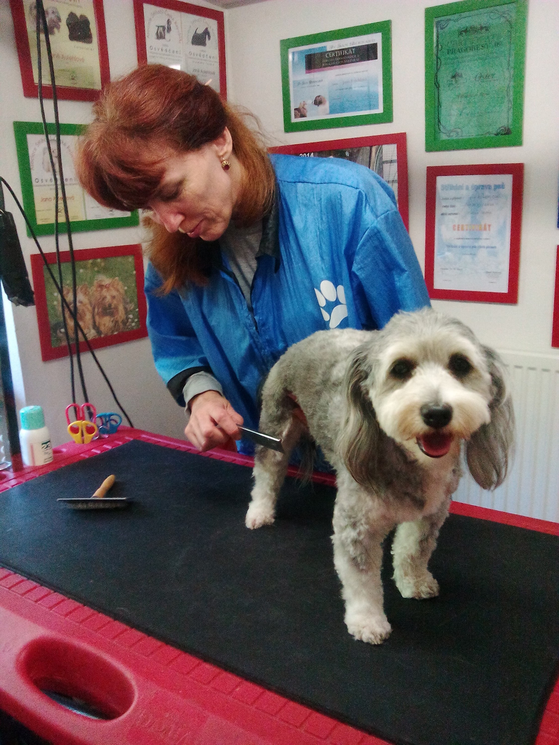 Salon pro psy U Potoka foto 3