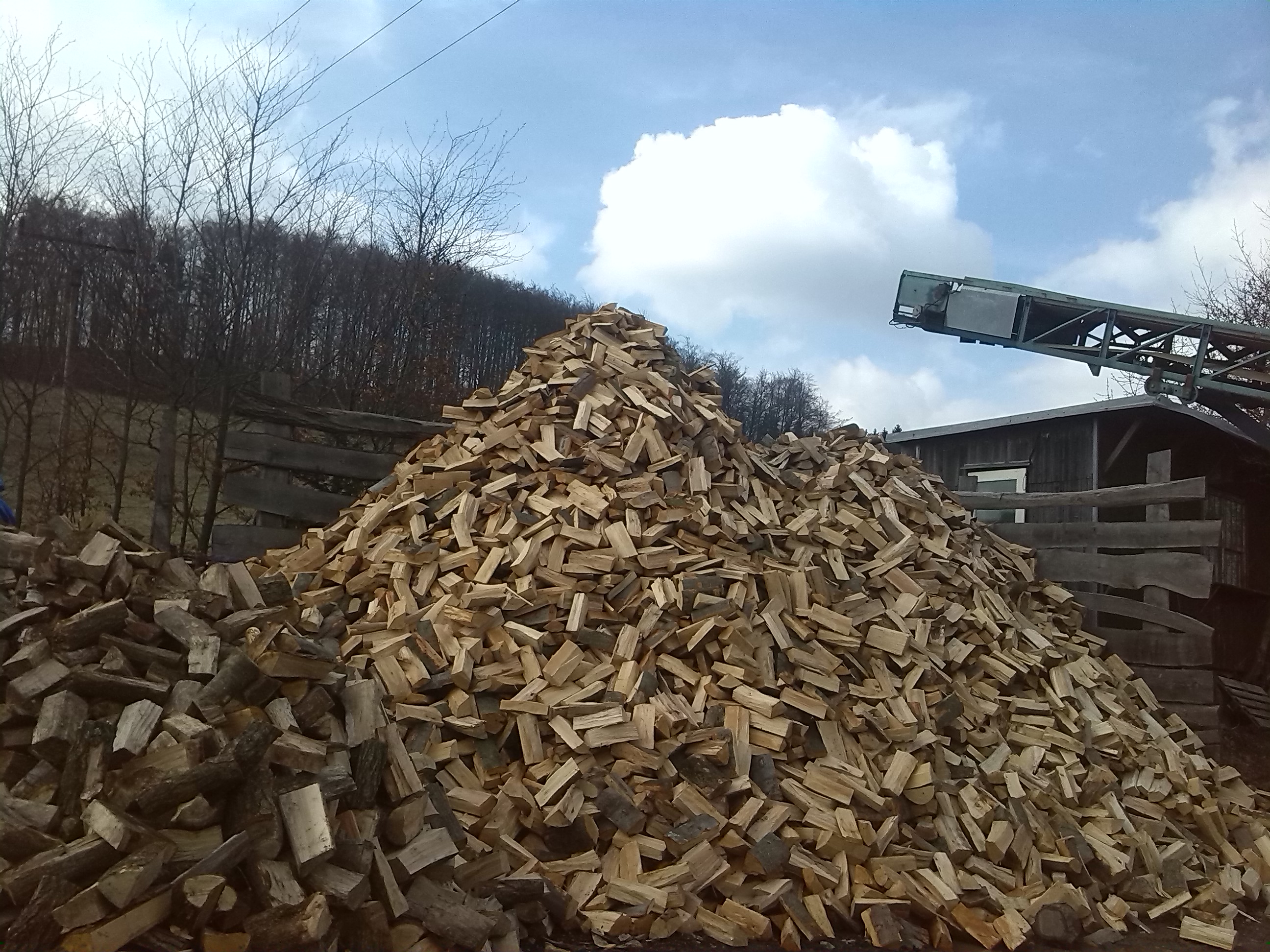 Pavel Neugebauer - Orlické dřevo foto 2