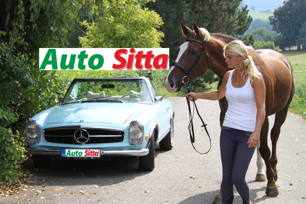 AUTO Sitta, s.r.o. foto 2